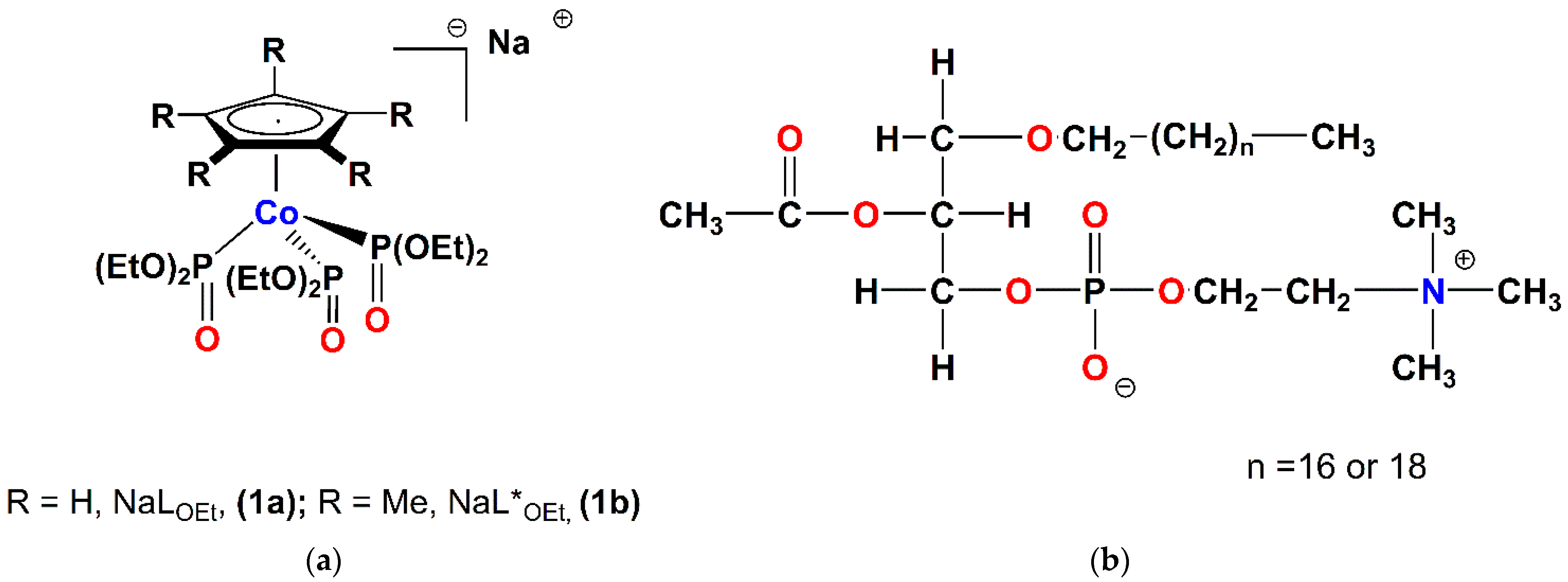 Molecules 28 01859 g001