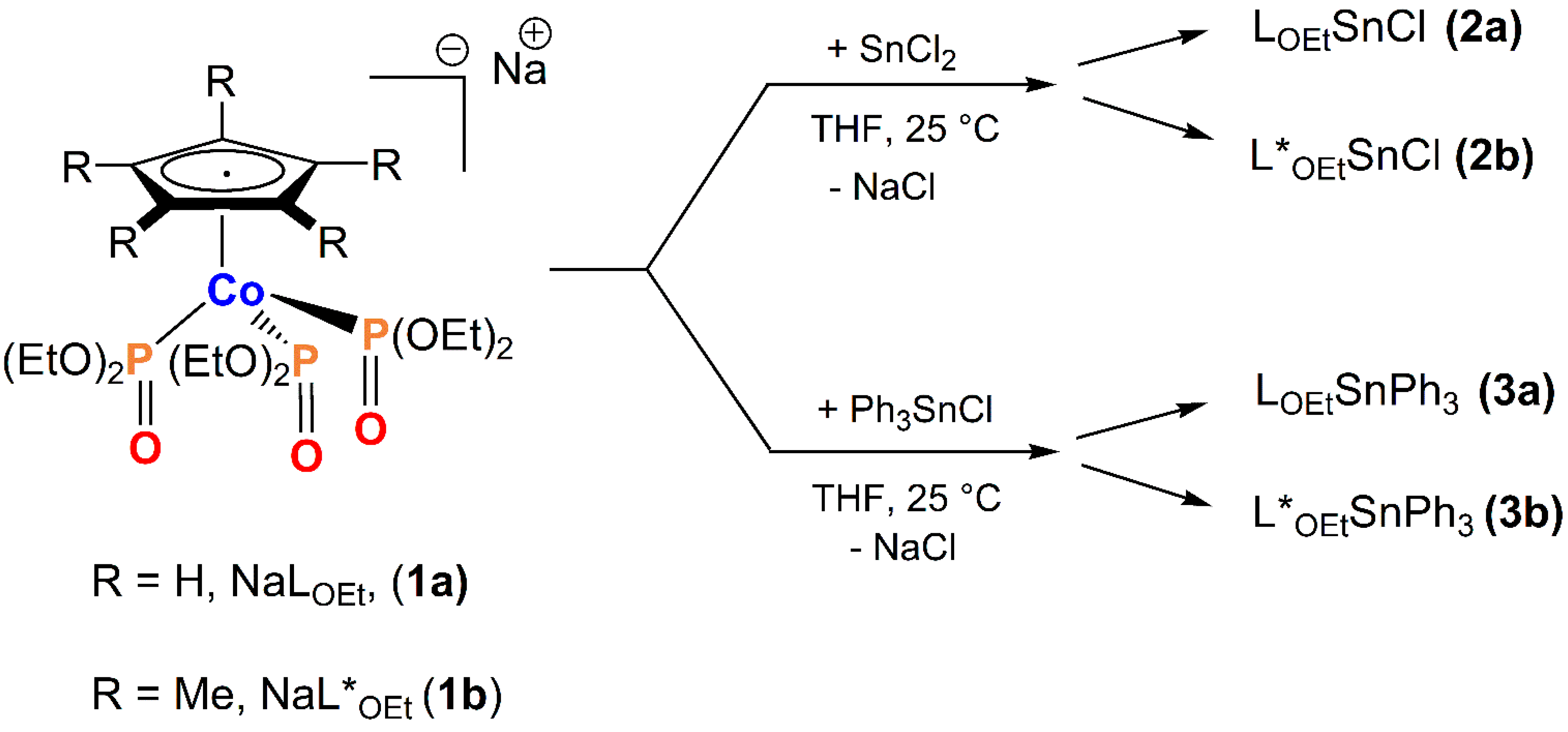 Molecules 28 01859 sch001