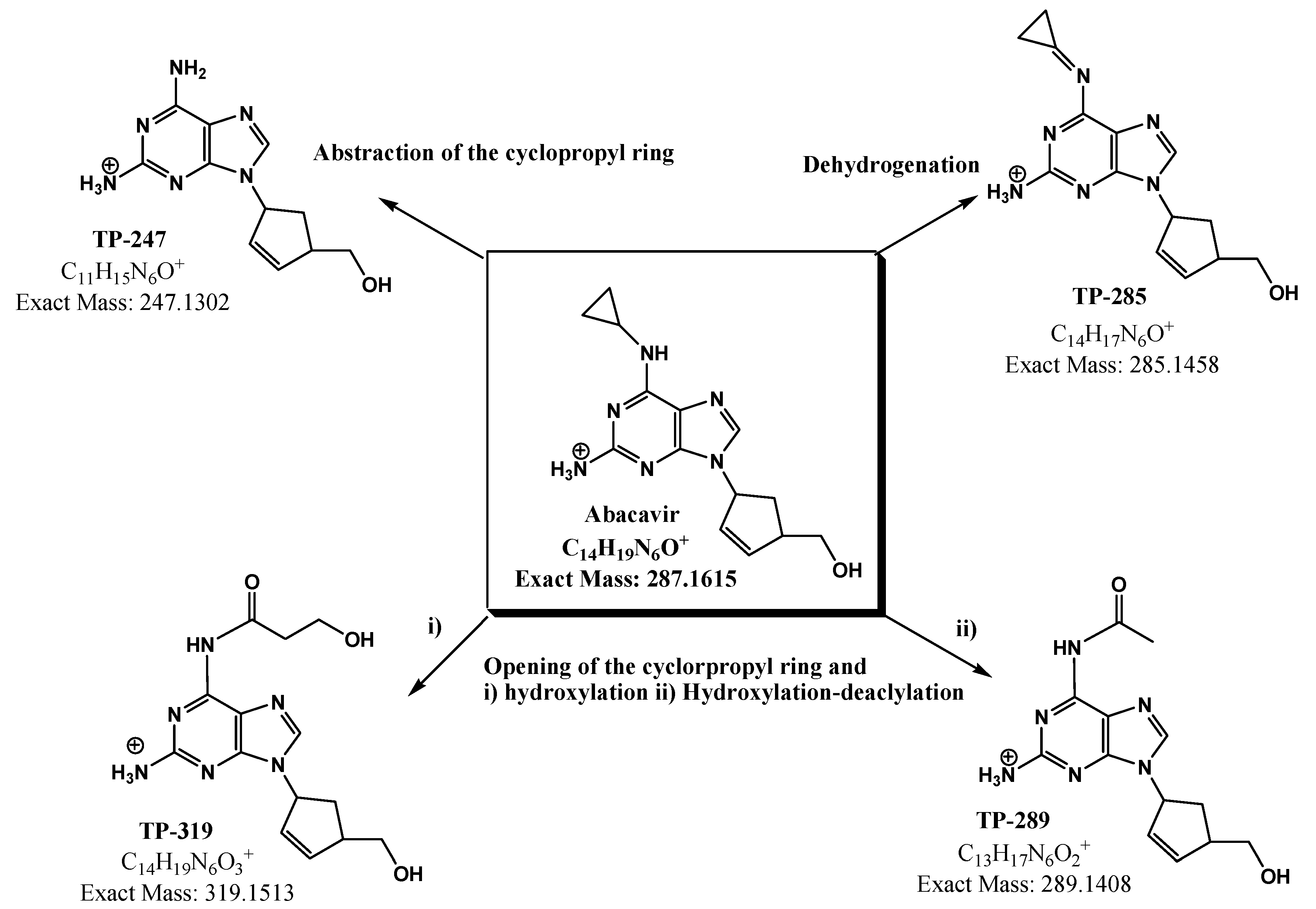 Molecules 28 01866 g007