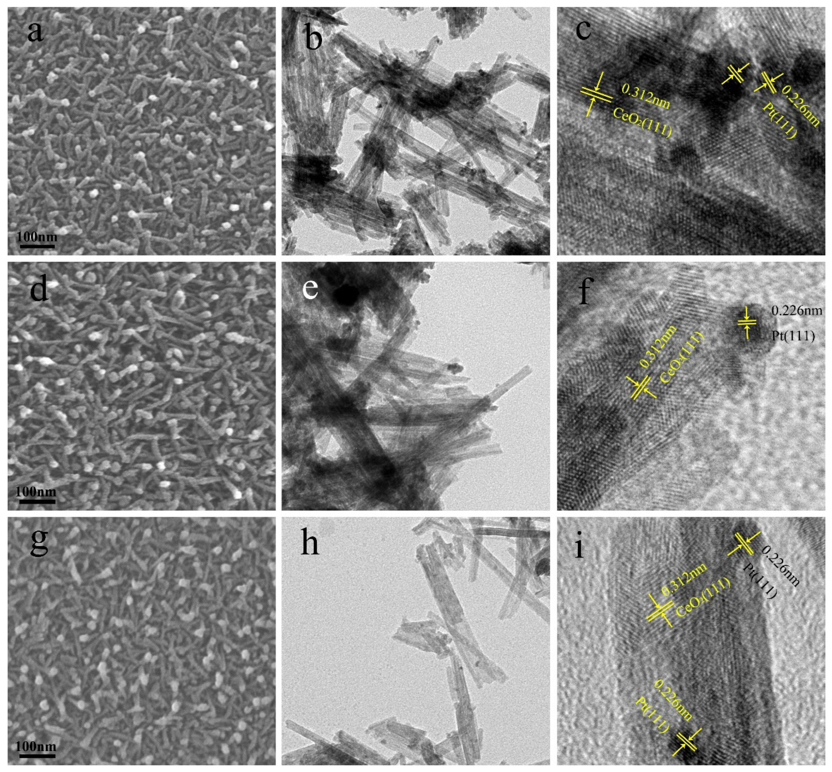 Molecules 28 01867 g003 Molecules 28 01867 g003