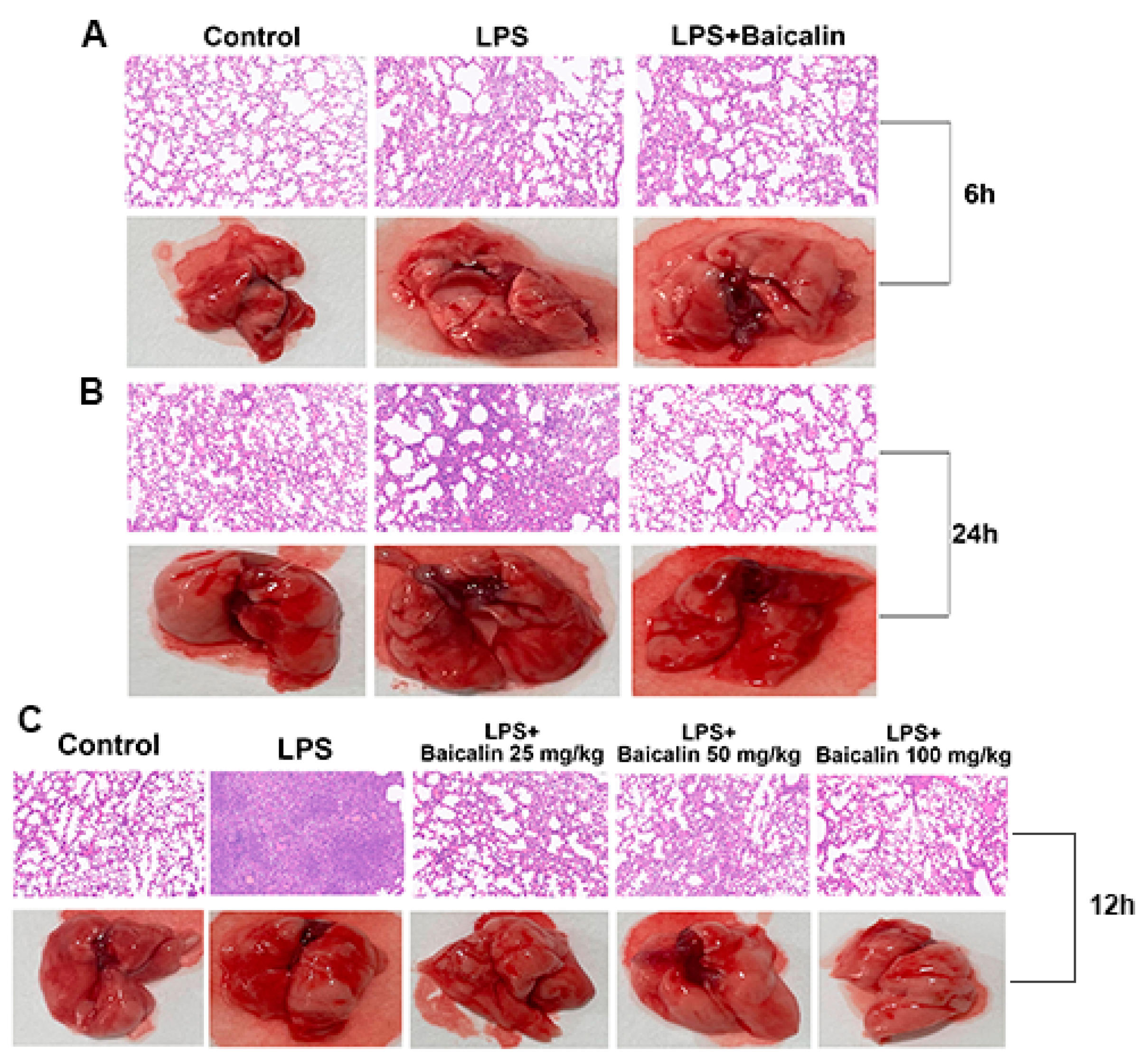 Molecules 28 01873 g005
