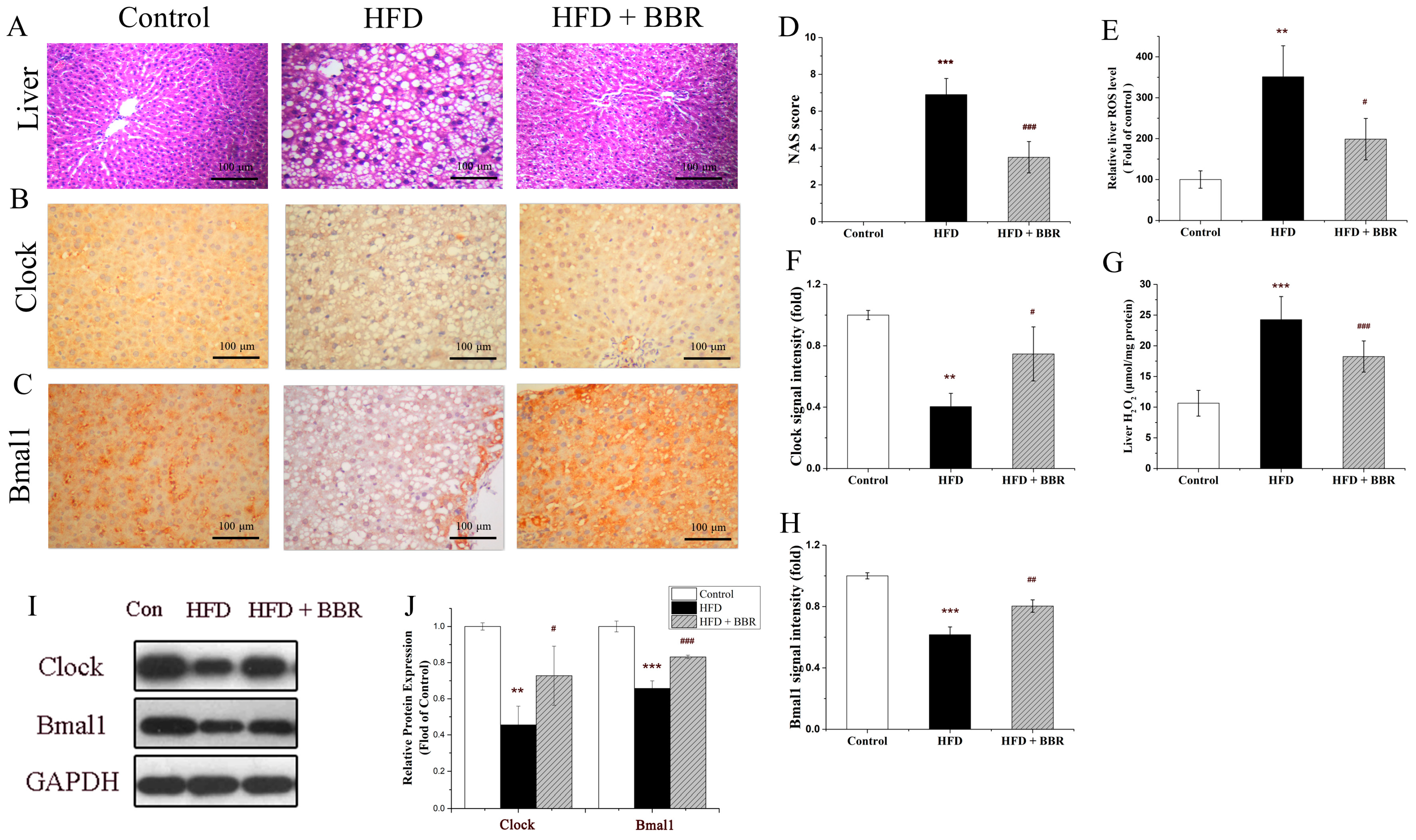 Molecules 28 01874 g002 Molecules 28 01874 g002