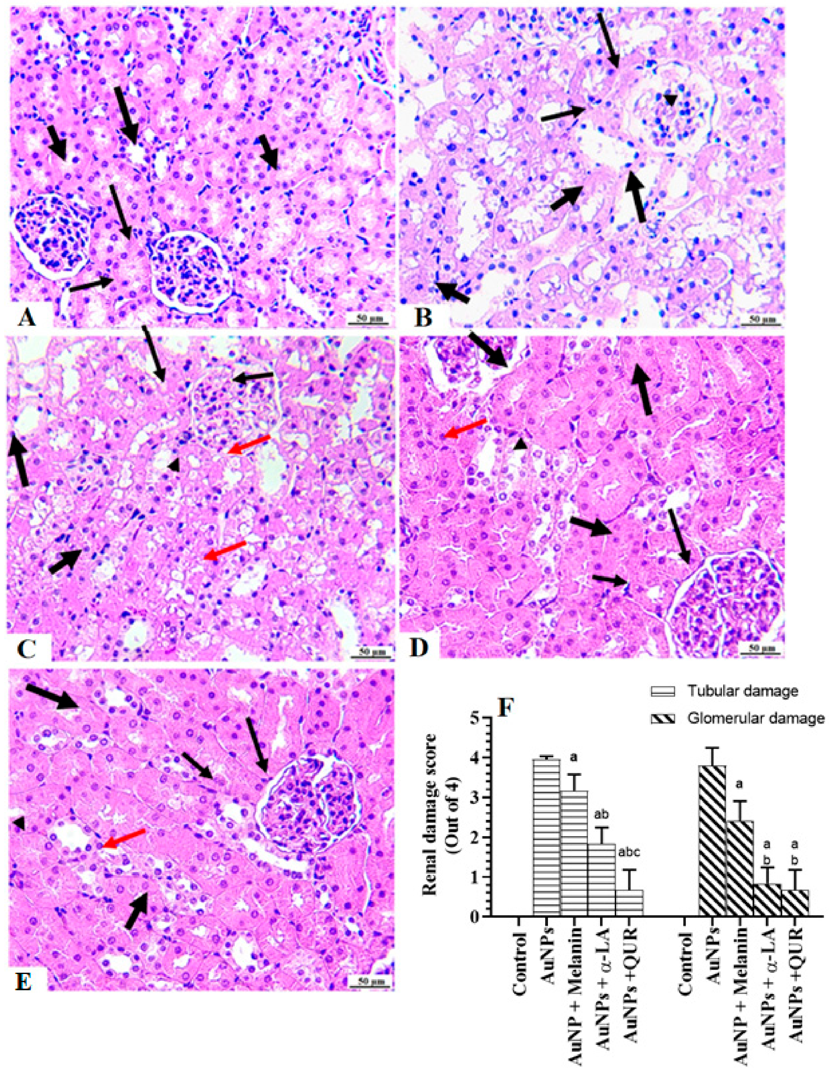 Molecules 28 01879 g003 Molecules 28 01879 g003