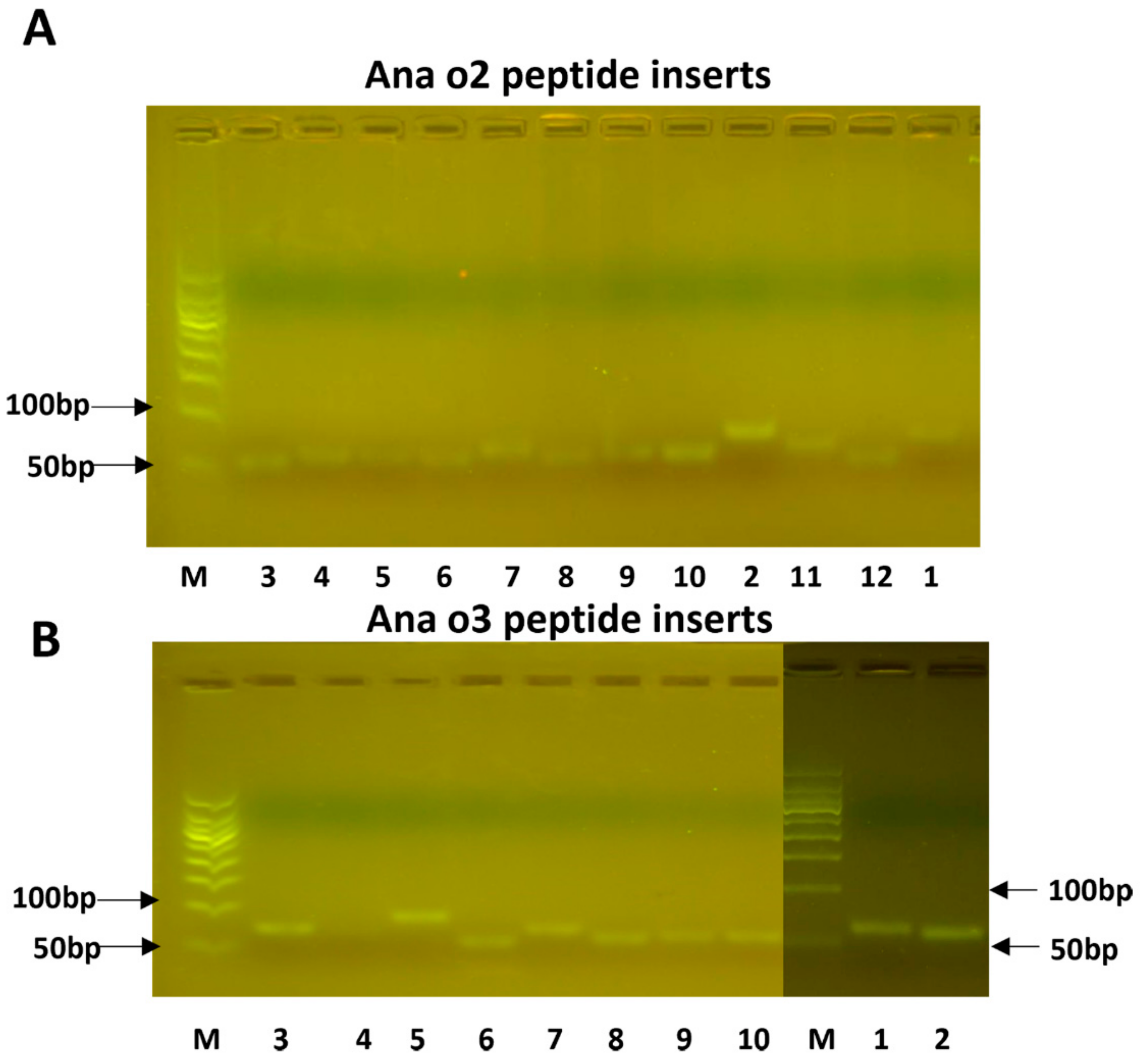Molecules 28 01880 g003