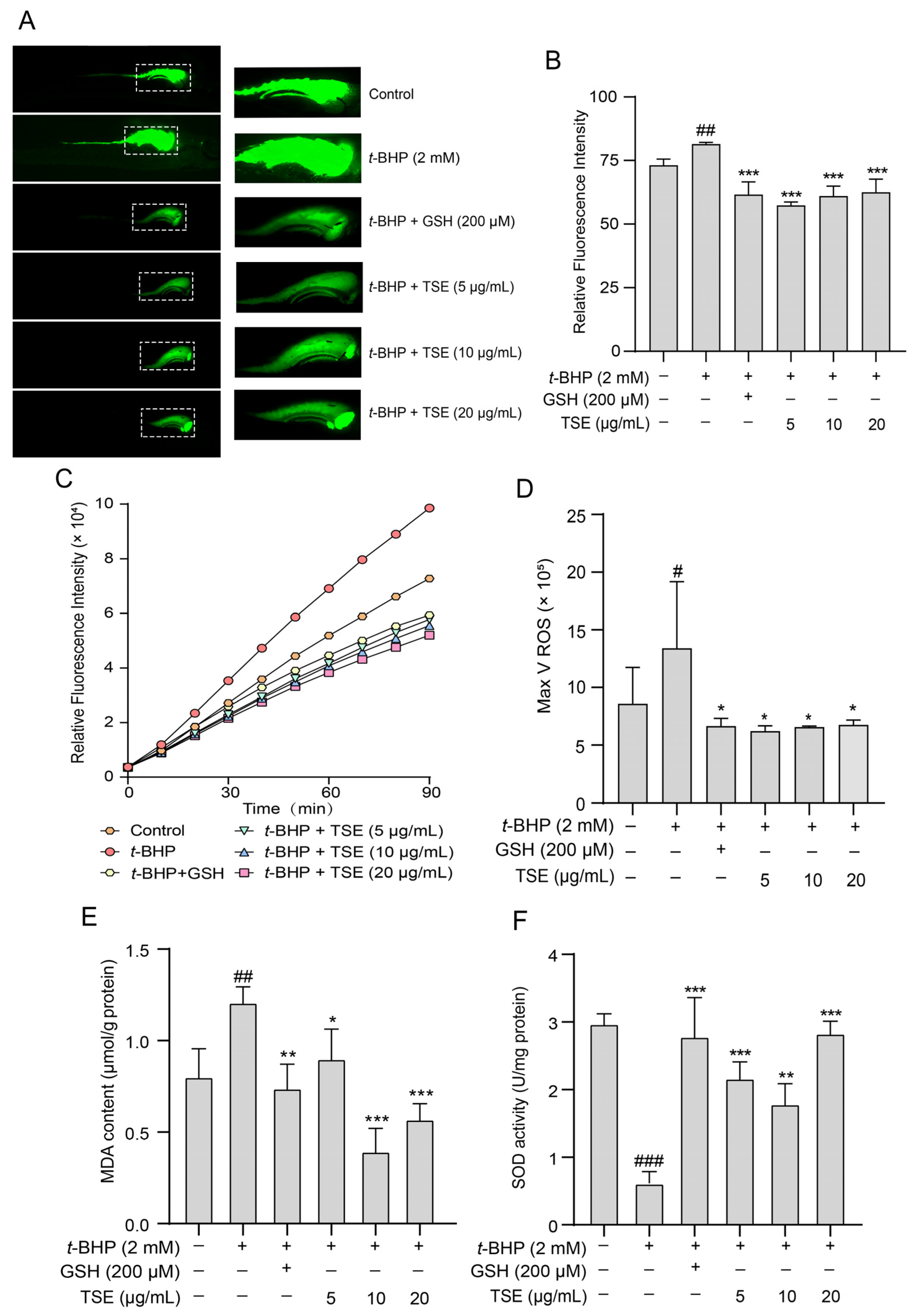 Molecules 28 01885 g007 Molecules 28 01885 g007