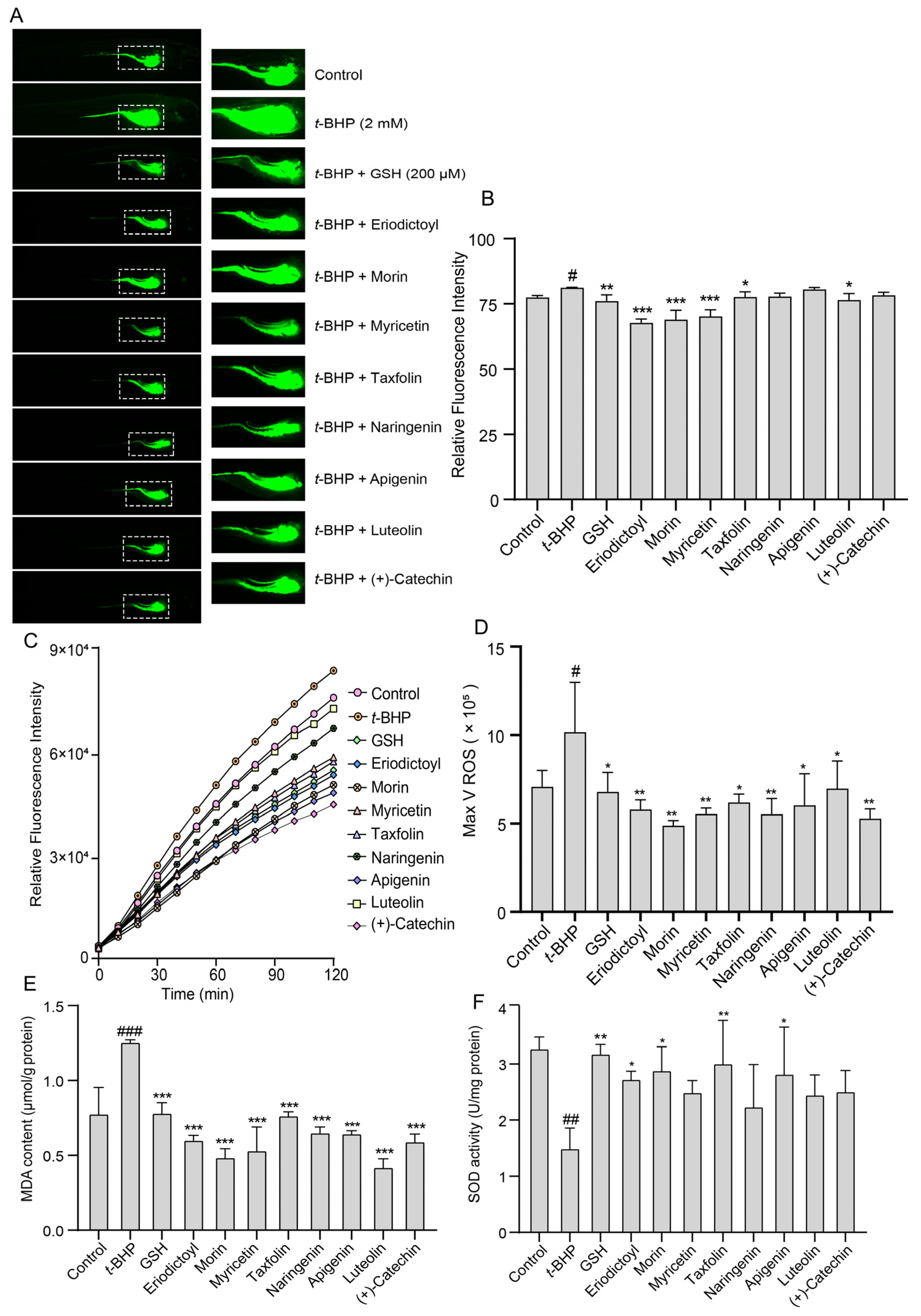 Molecules 28 01885 g008 Molecules 28 01885 g008
