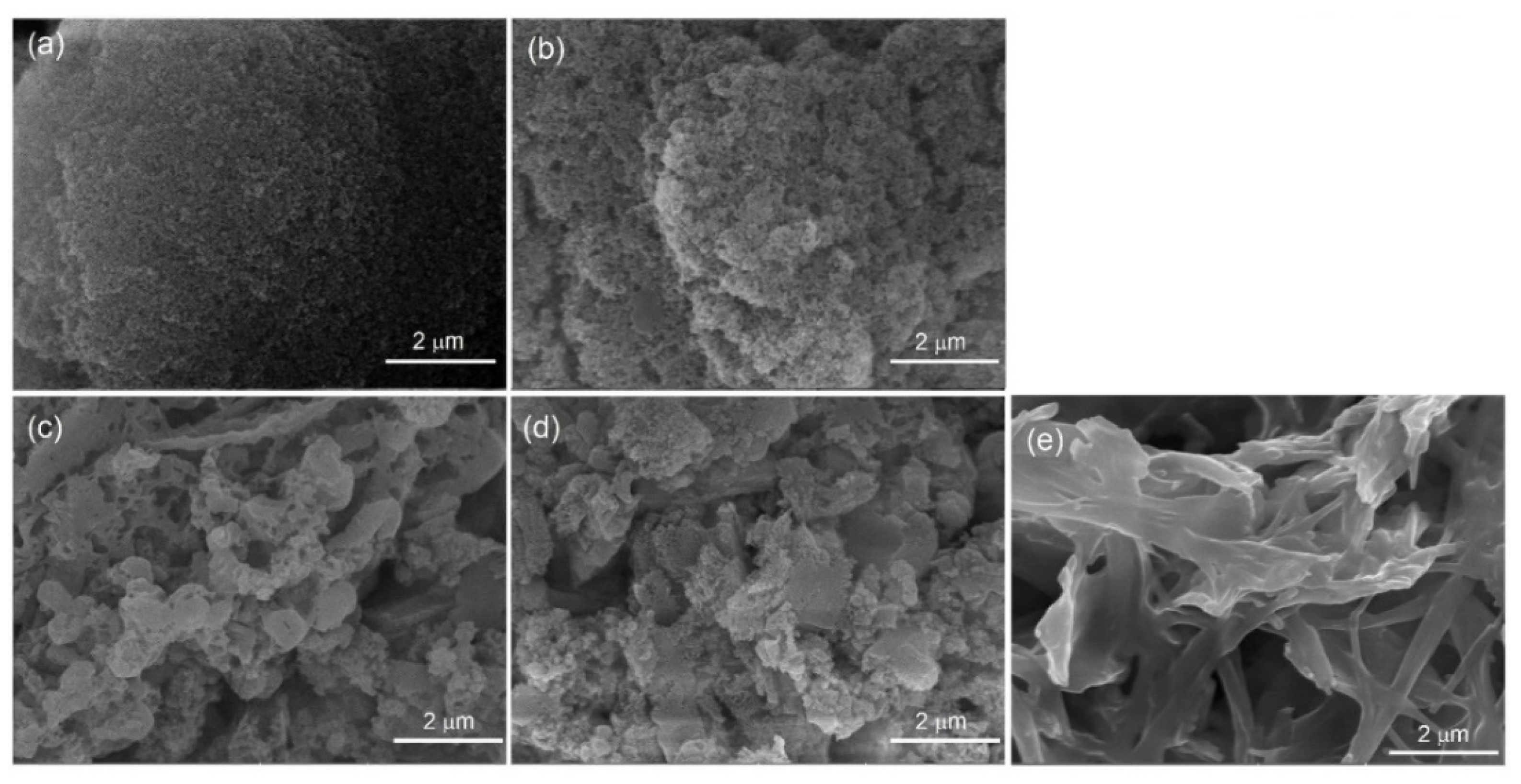 Molecules 28 01886 g005