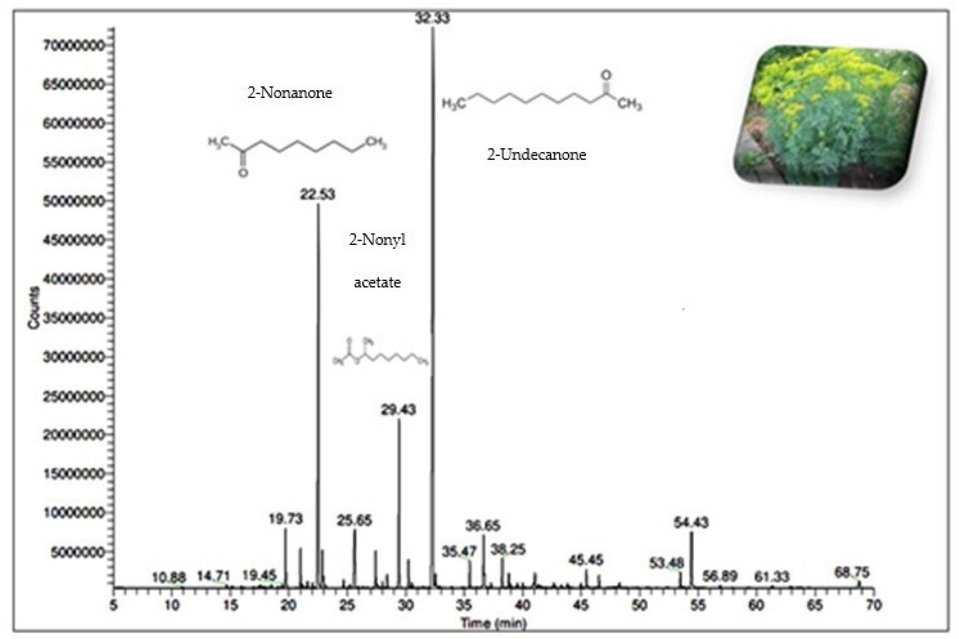 Molecules 28 01891 g001 Molecules 28 01891 g001