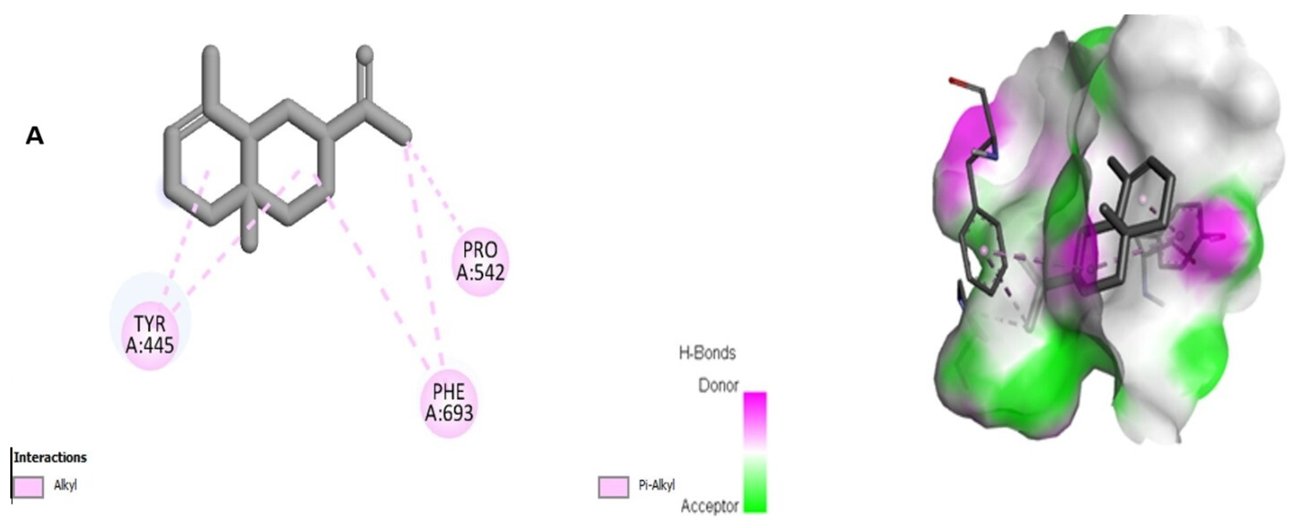 Molecules 28 01891 g002a Molecules 28 01891 g002a