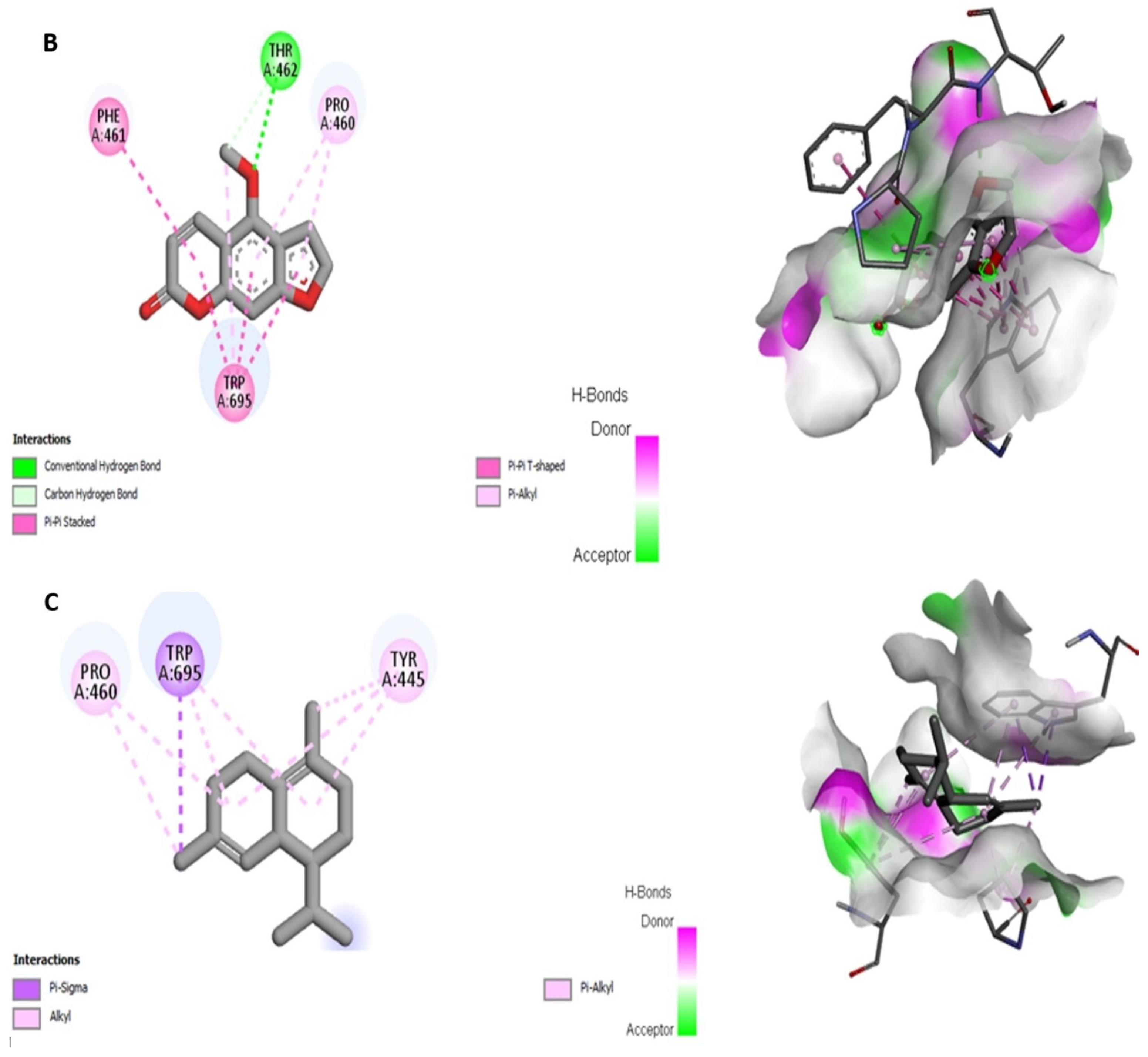 Molecules 28 01891 g002b Molecules 28 01891 g002b