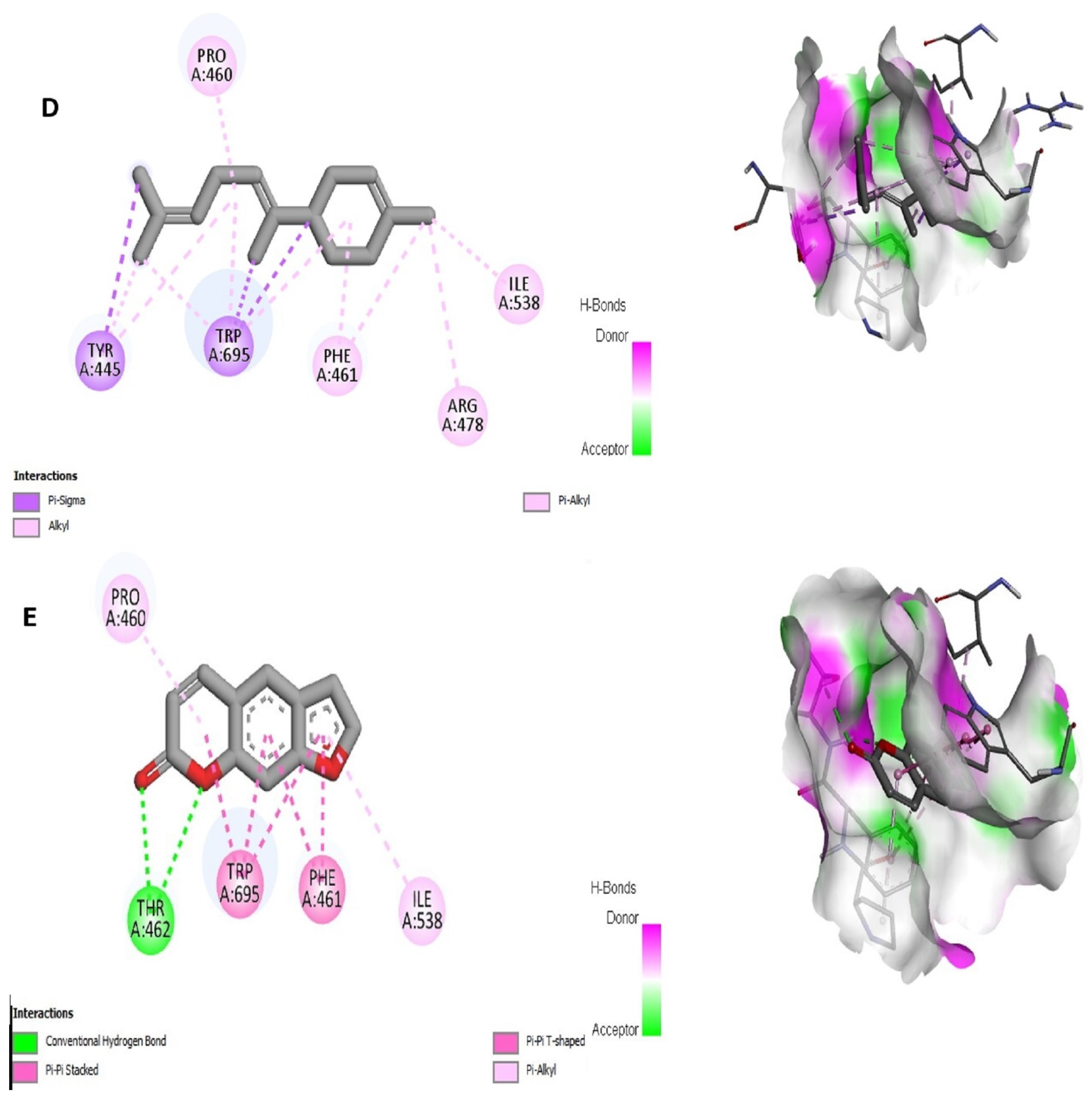 Molecules 28 01891 g002c Molecules 28 01891 g002c