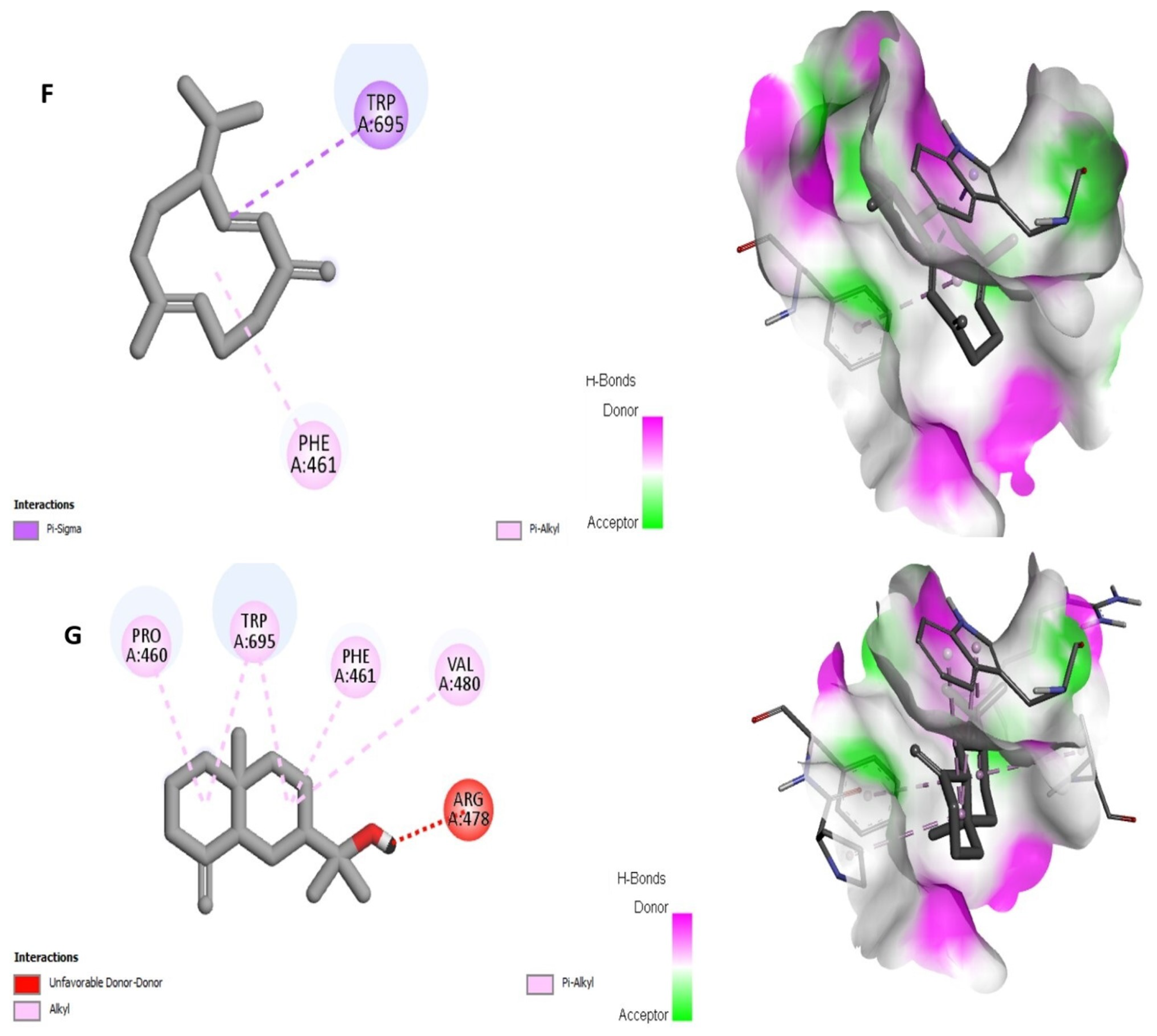 Molecules 28 01891 g002d Molecules 28 01891 g002d
