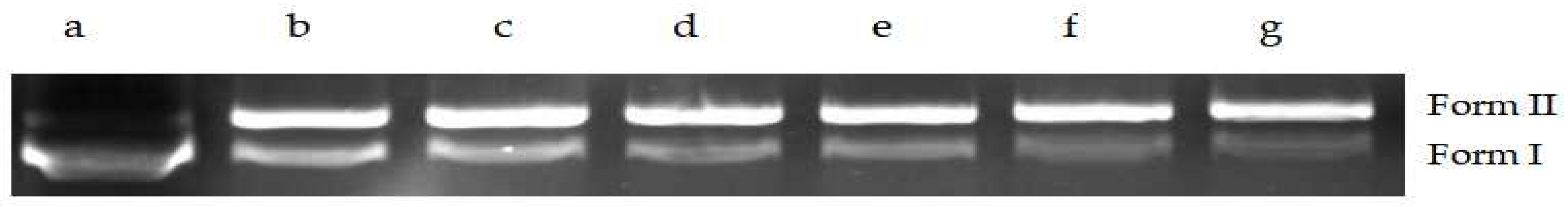 Molecules 28 01895 g012