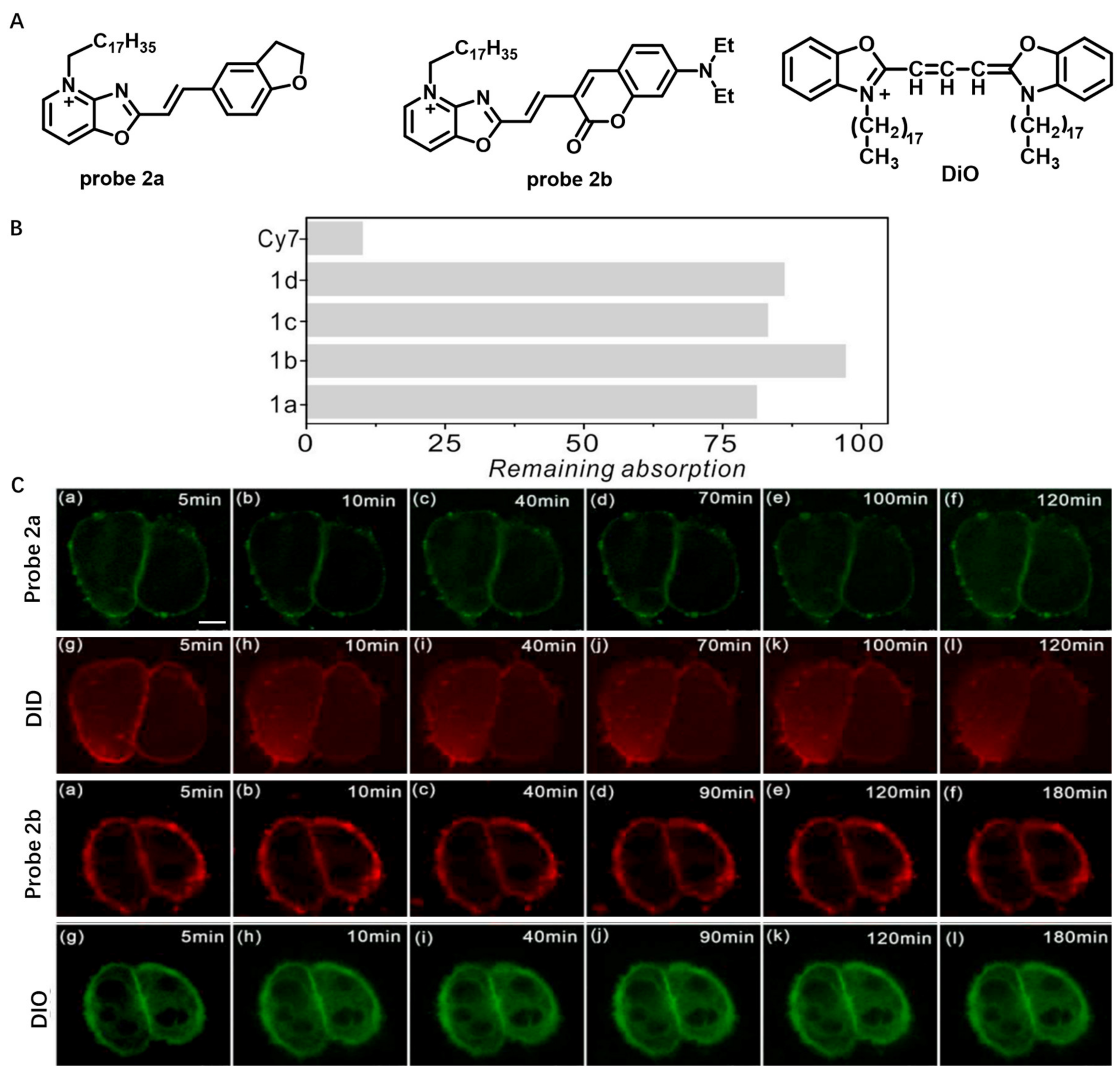 Molecules 28 01906 g002 Molecules 28 01906 g002
