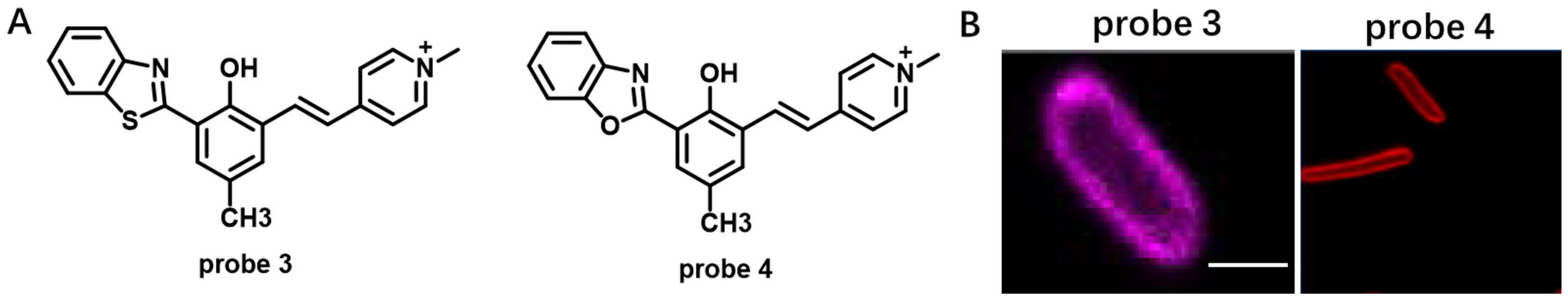 Molecules 28 01906 g003 Molecules 28 01906 g003
