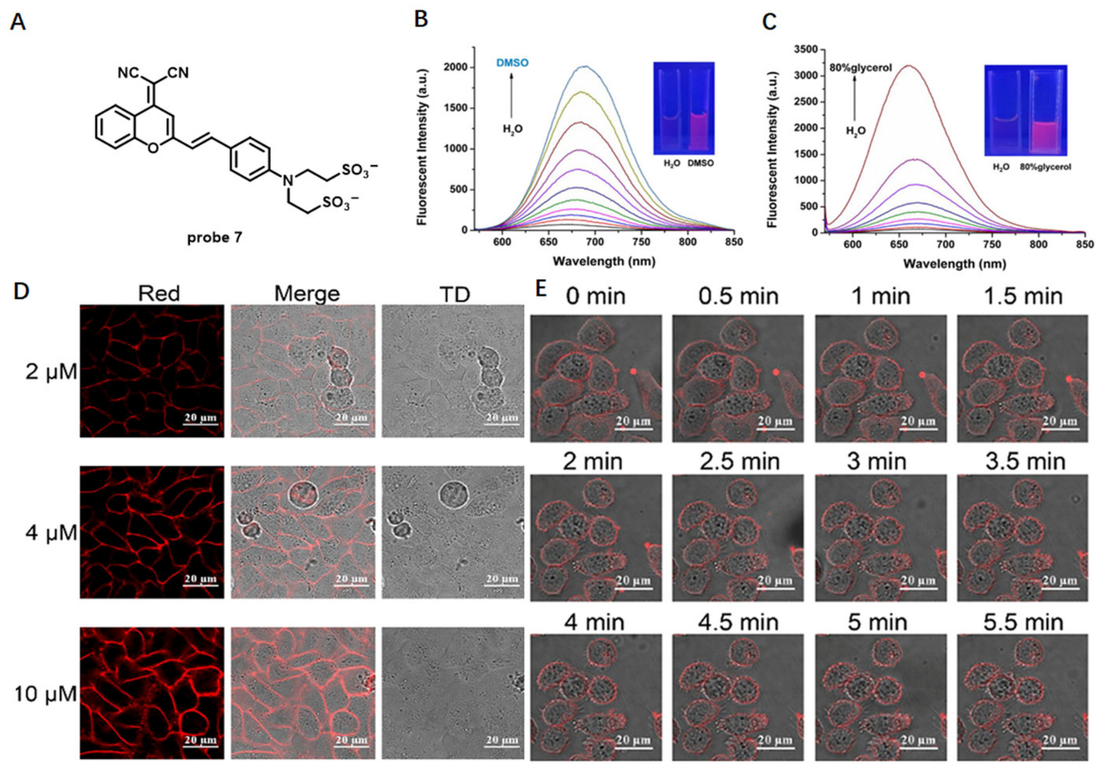 Molecules 28 01906 g006 Molecules 28 01906 g006
