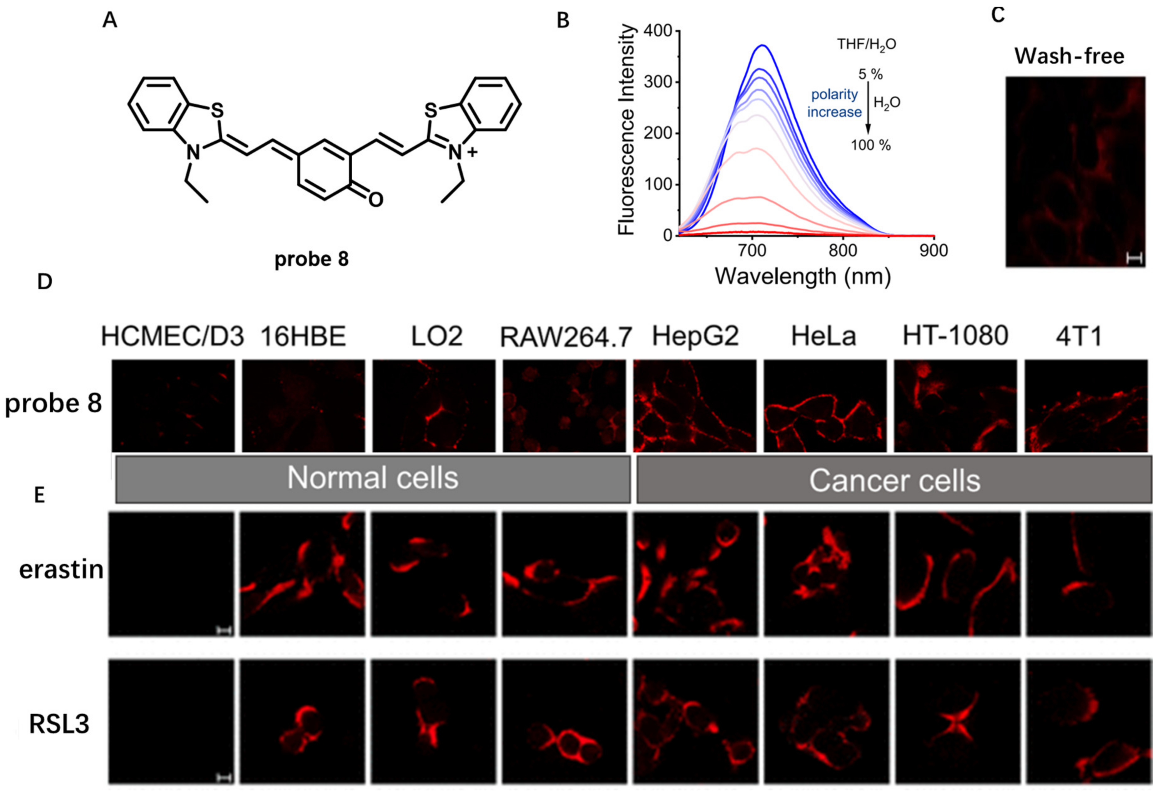 Molecules 28 01906 g007 Molecules 28 01906 g007