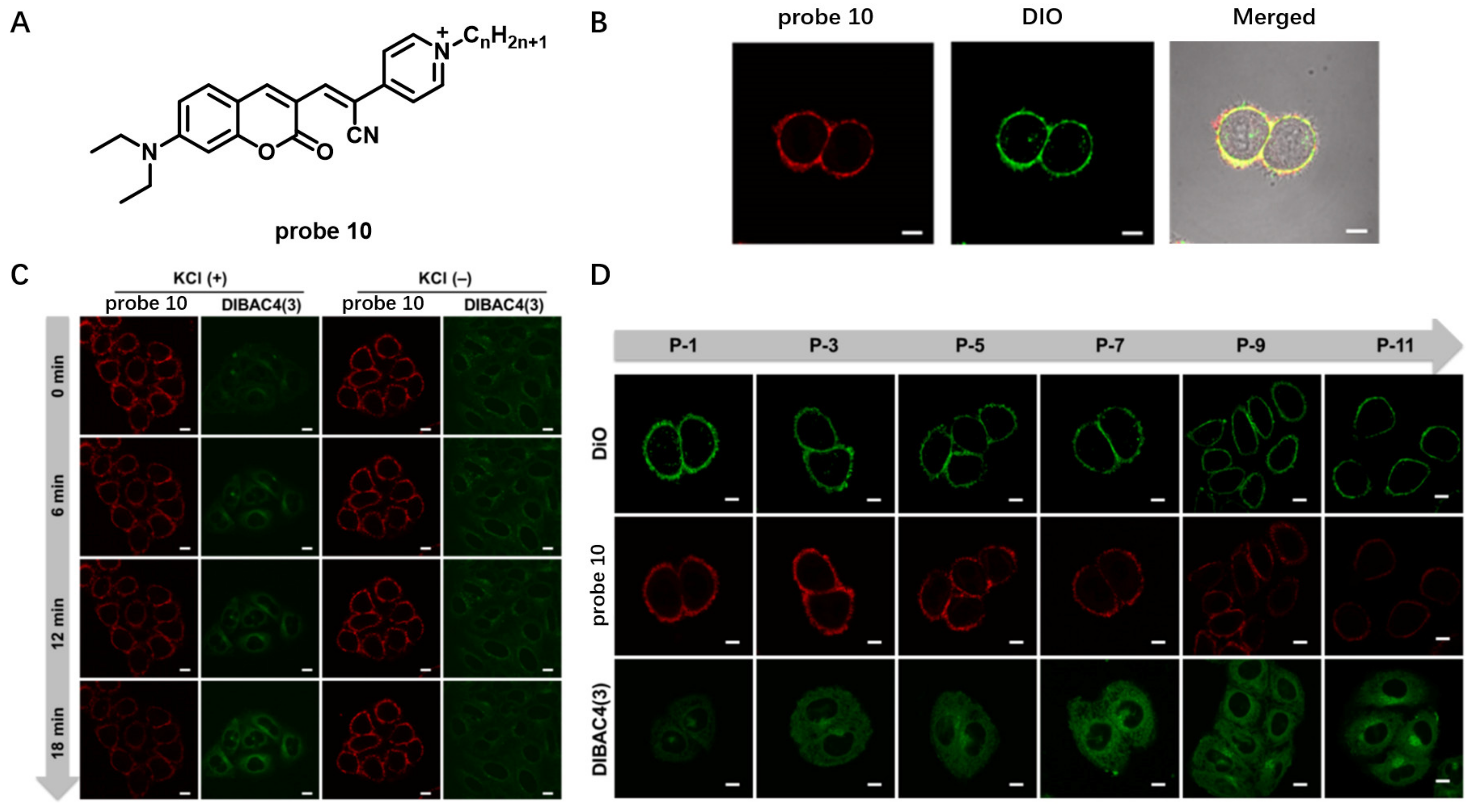 Molecules 28 01906 g009 Molecules 28 01906 g009