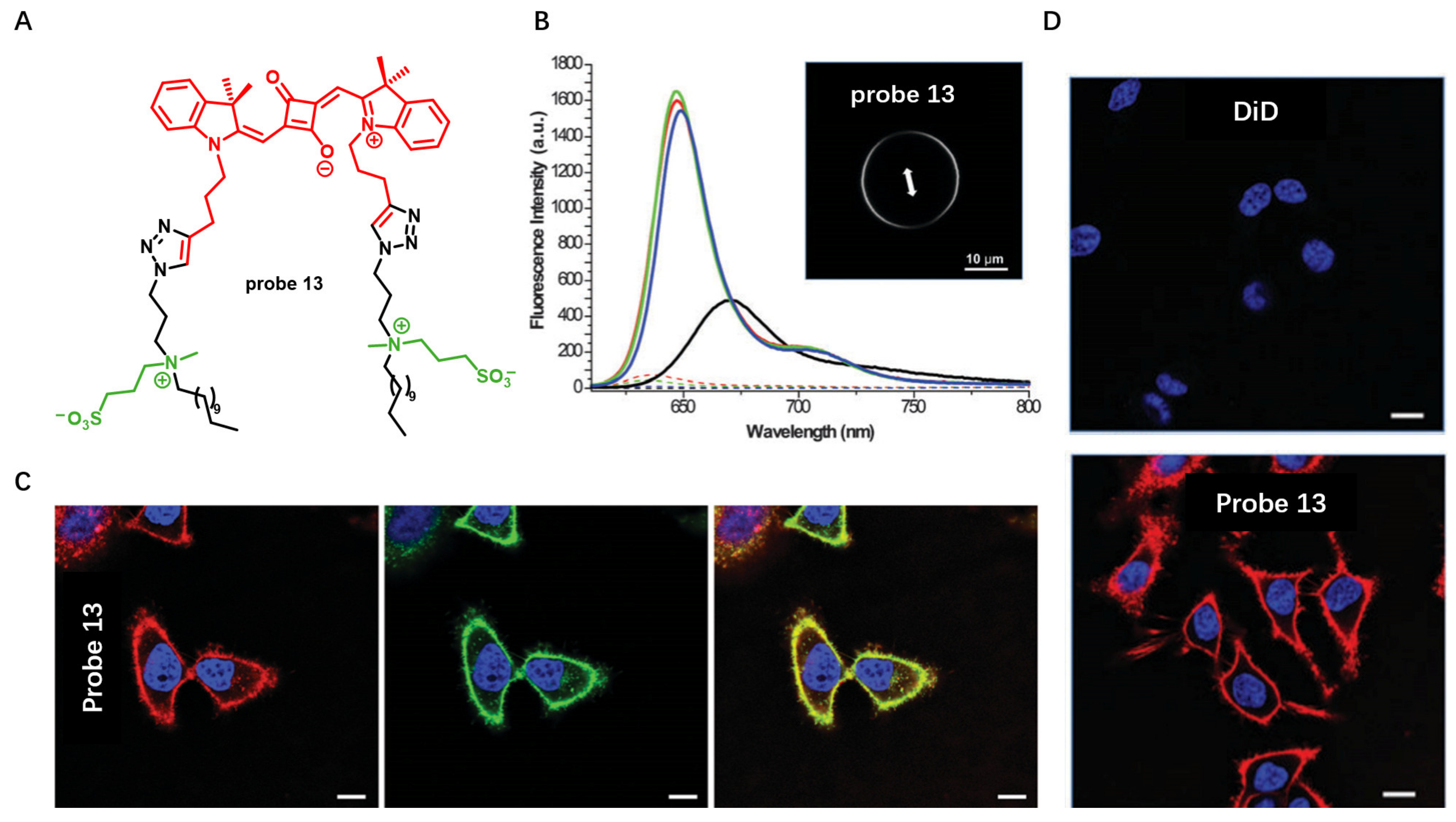 Molecules 28 01906 g013 Molecules 28 01906 g013