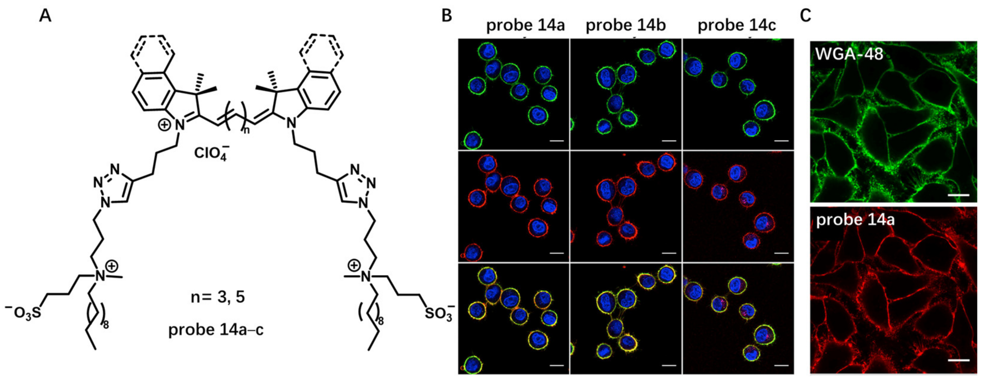 Molecules 28 01906 g014 Molecules 28 01906 g014