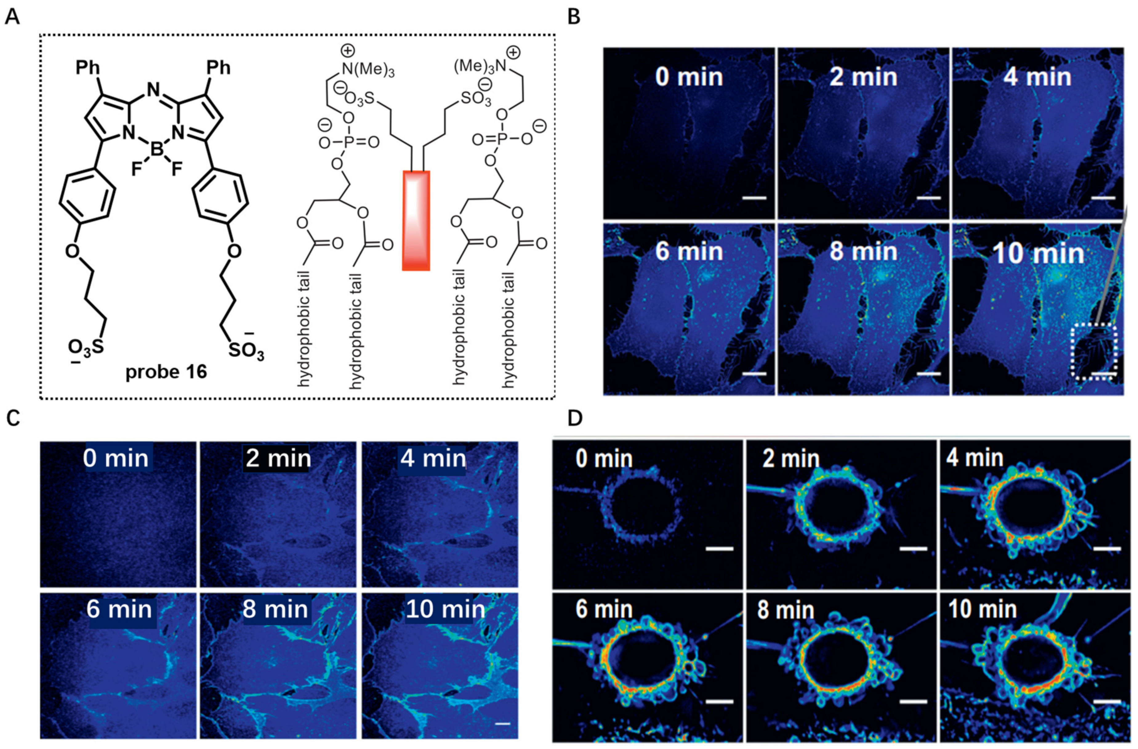 Molecules 28 01906 g016 Molecules 28 01906 g016