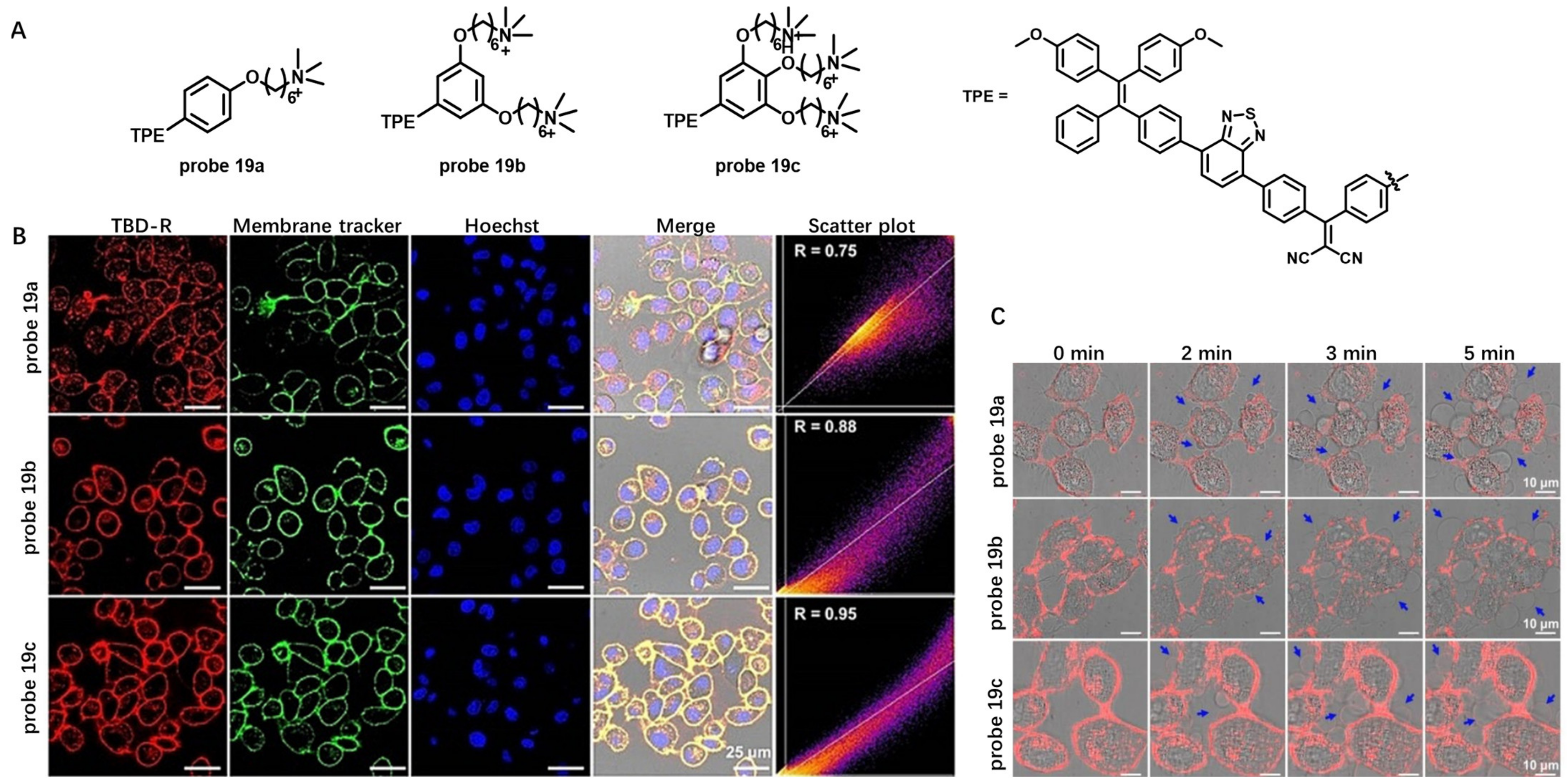 Molecules 28 01906 g019 Molecules 28 01906 g019