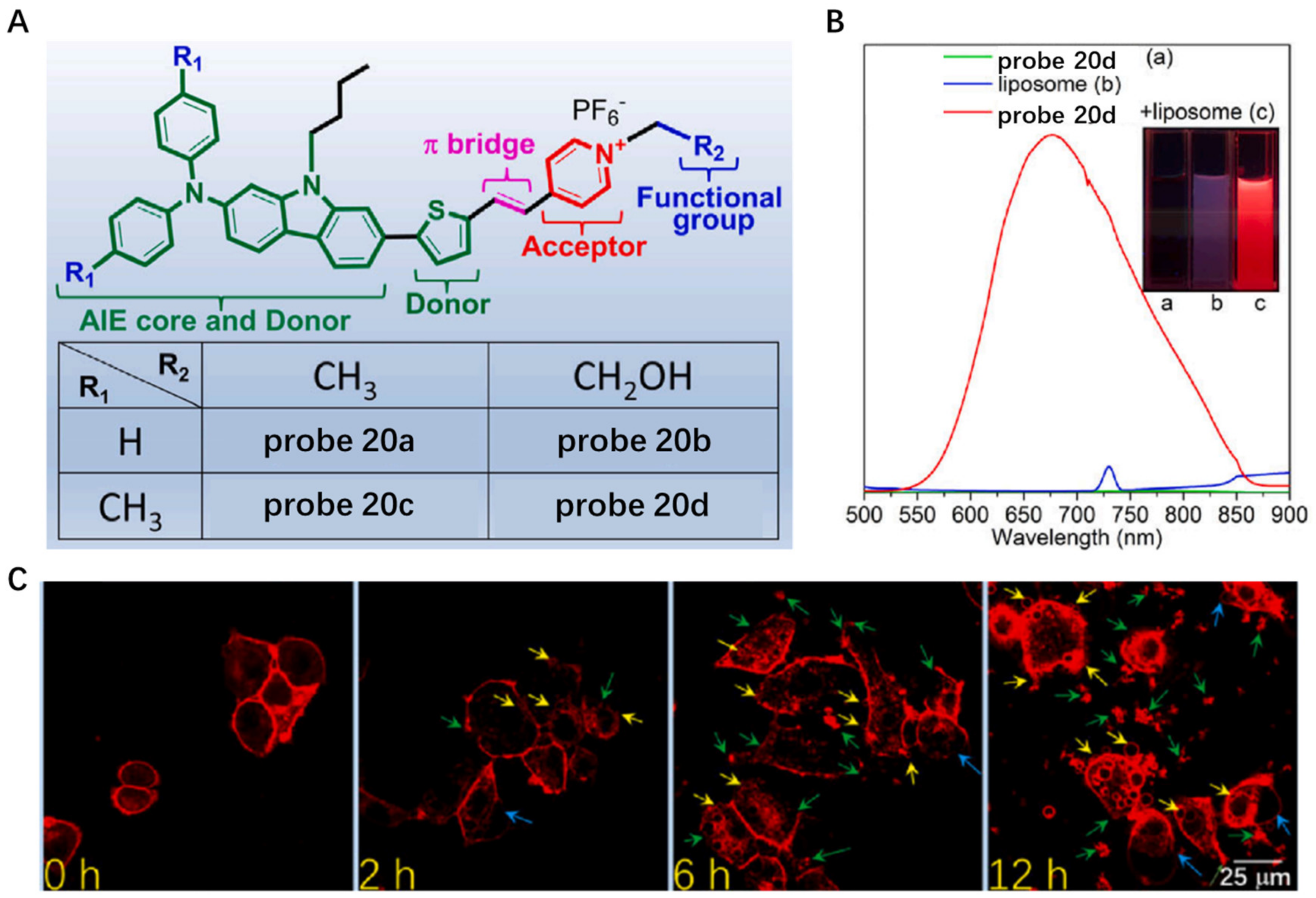 Molecules 28 01906 g020 Molecules 28 01906 g020