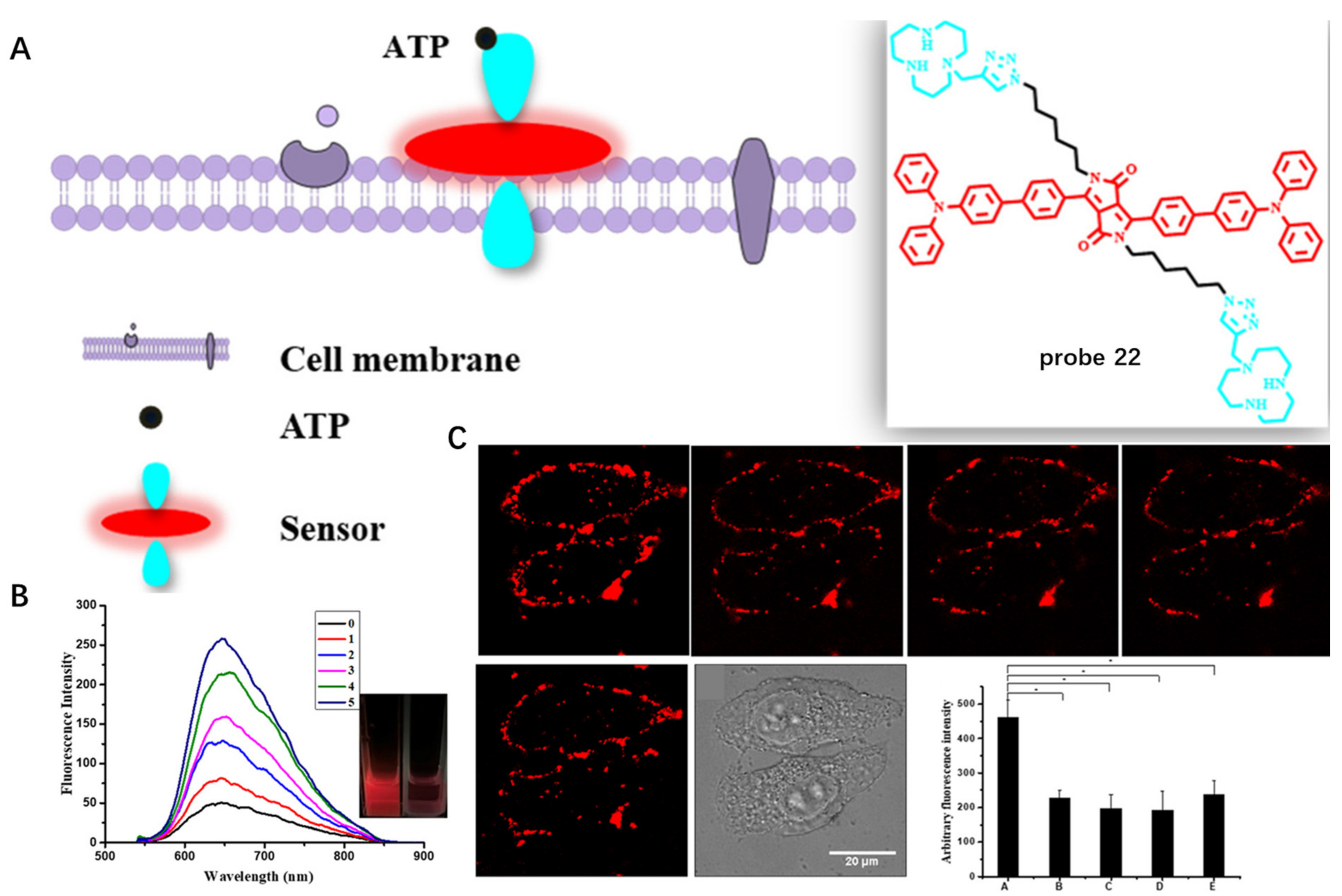 Molecules 28 01906 g022 Molecules 28 01906 g022