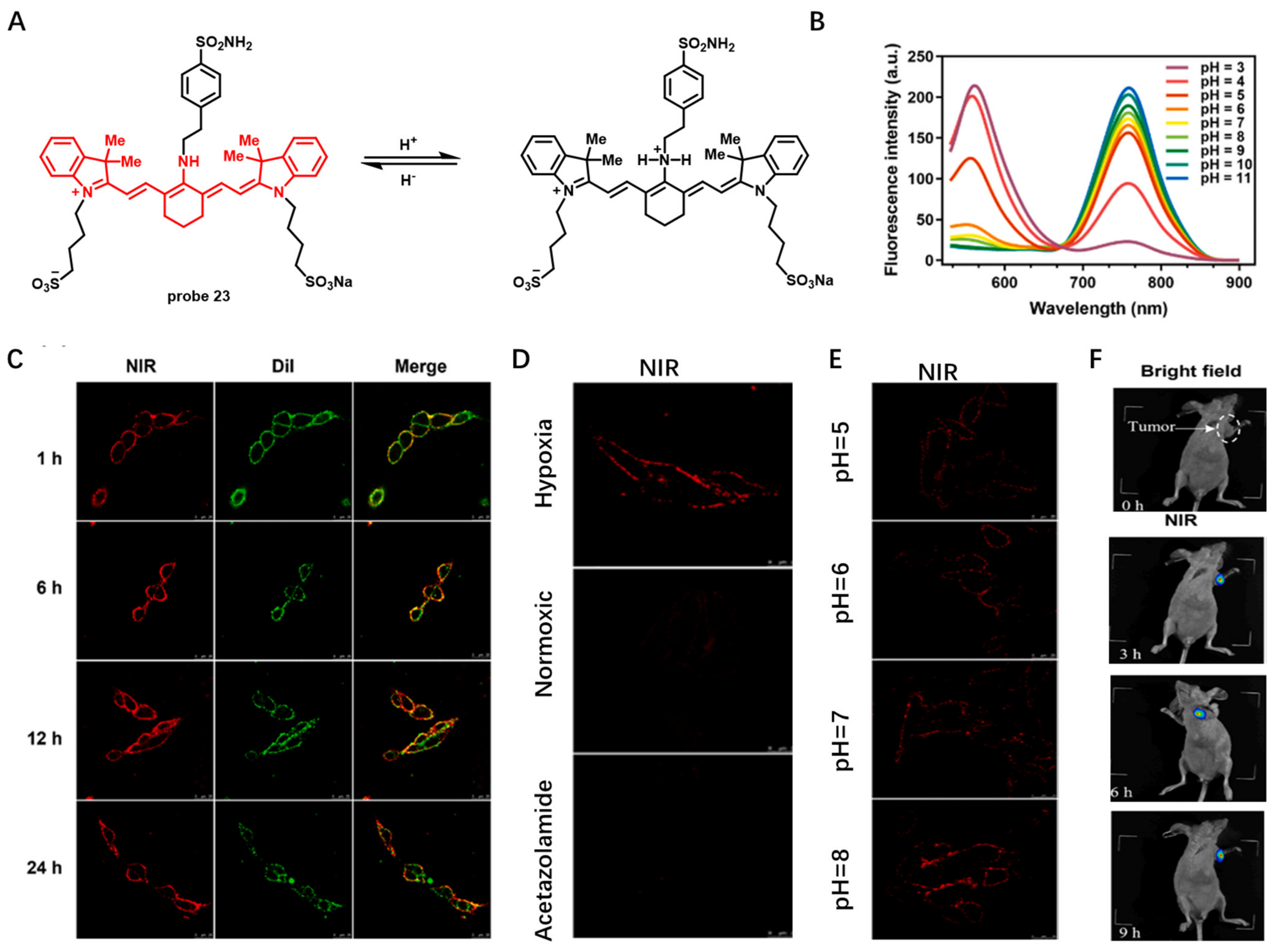 Molecules 28 01906 g023 Molecules 28 01906 g023