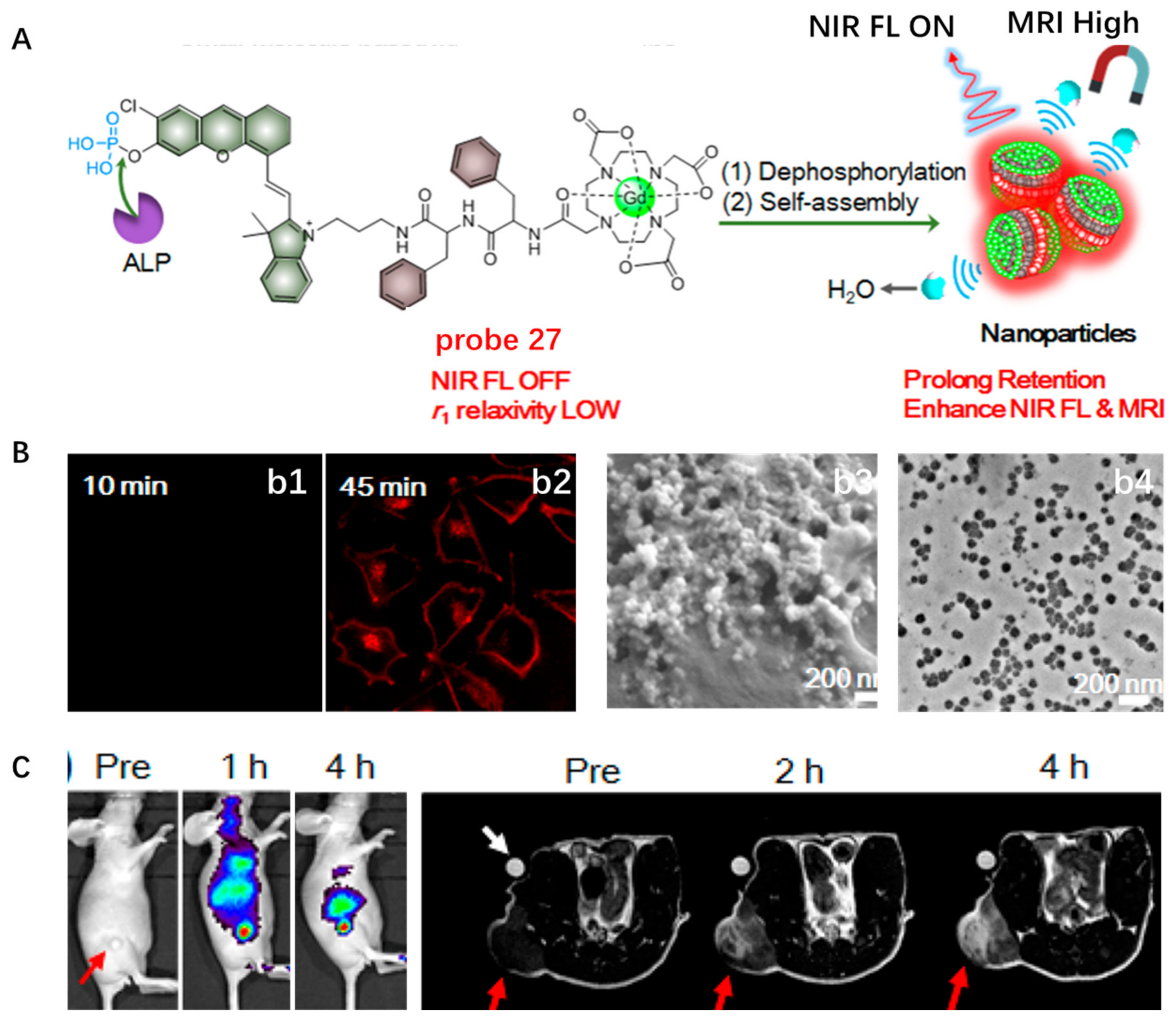 Molecules 28 01906 g027 Molecules 28 01906 g027