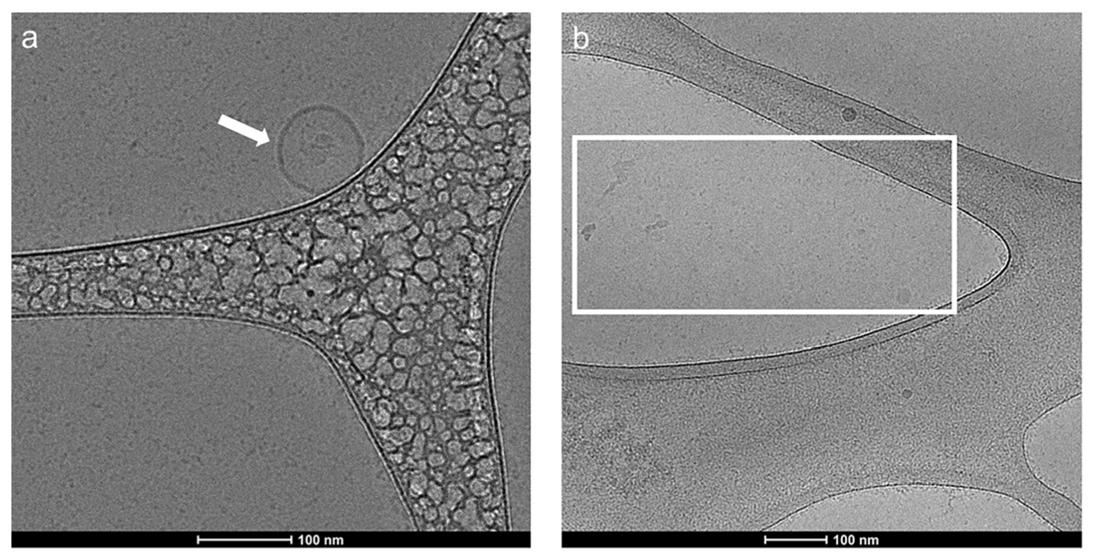 Molecules 28 01909 g002