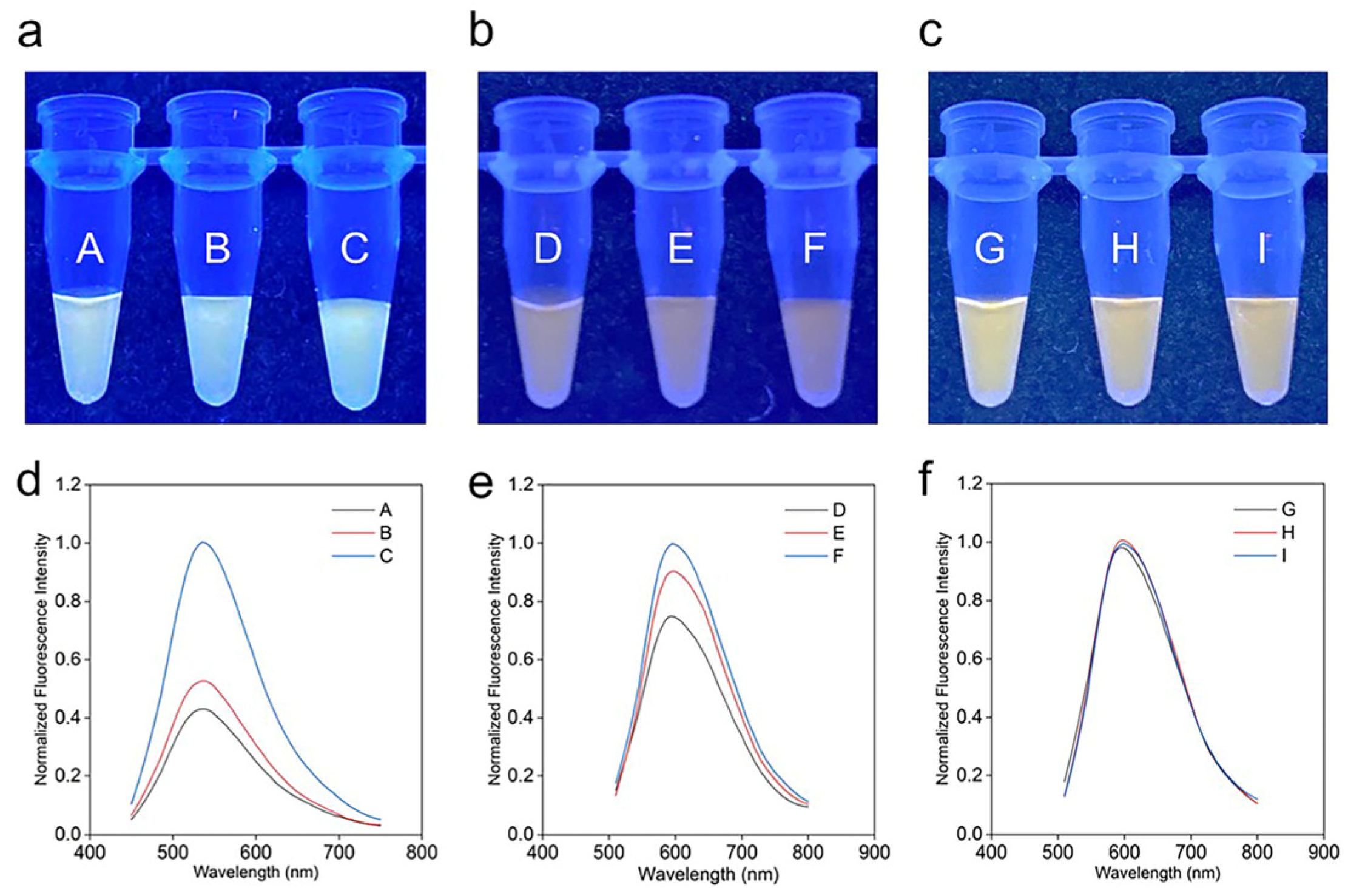 Molecules 28 01909 g004