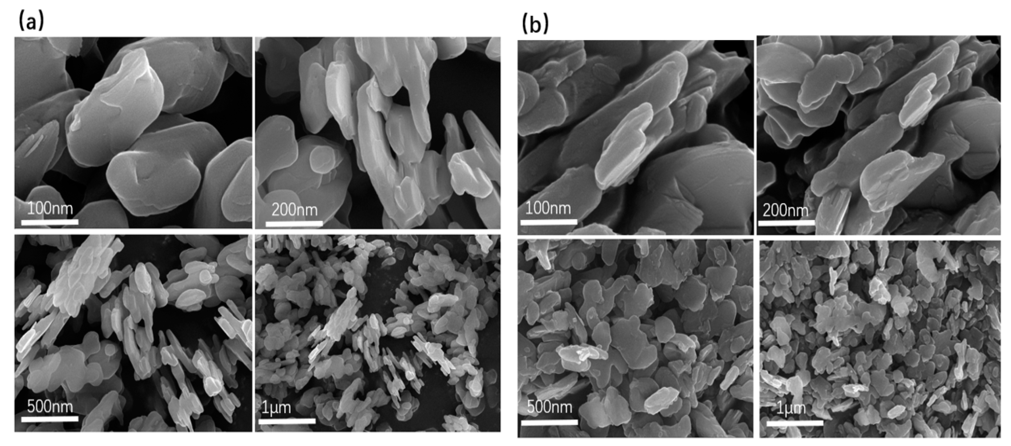 Molecules 28 01911 g005