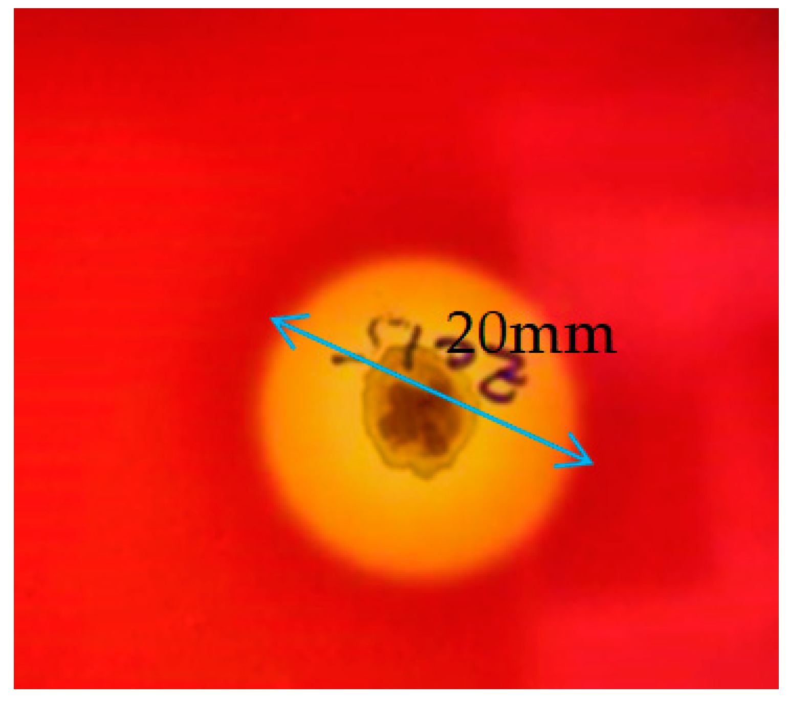 Molecules 28 01912 g002 Molecules 28 01912 g002