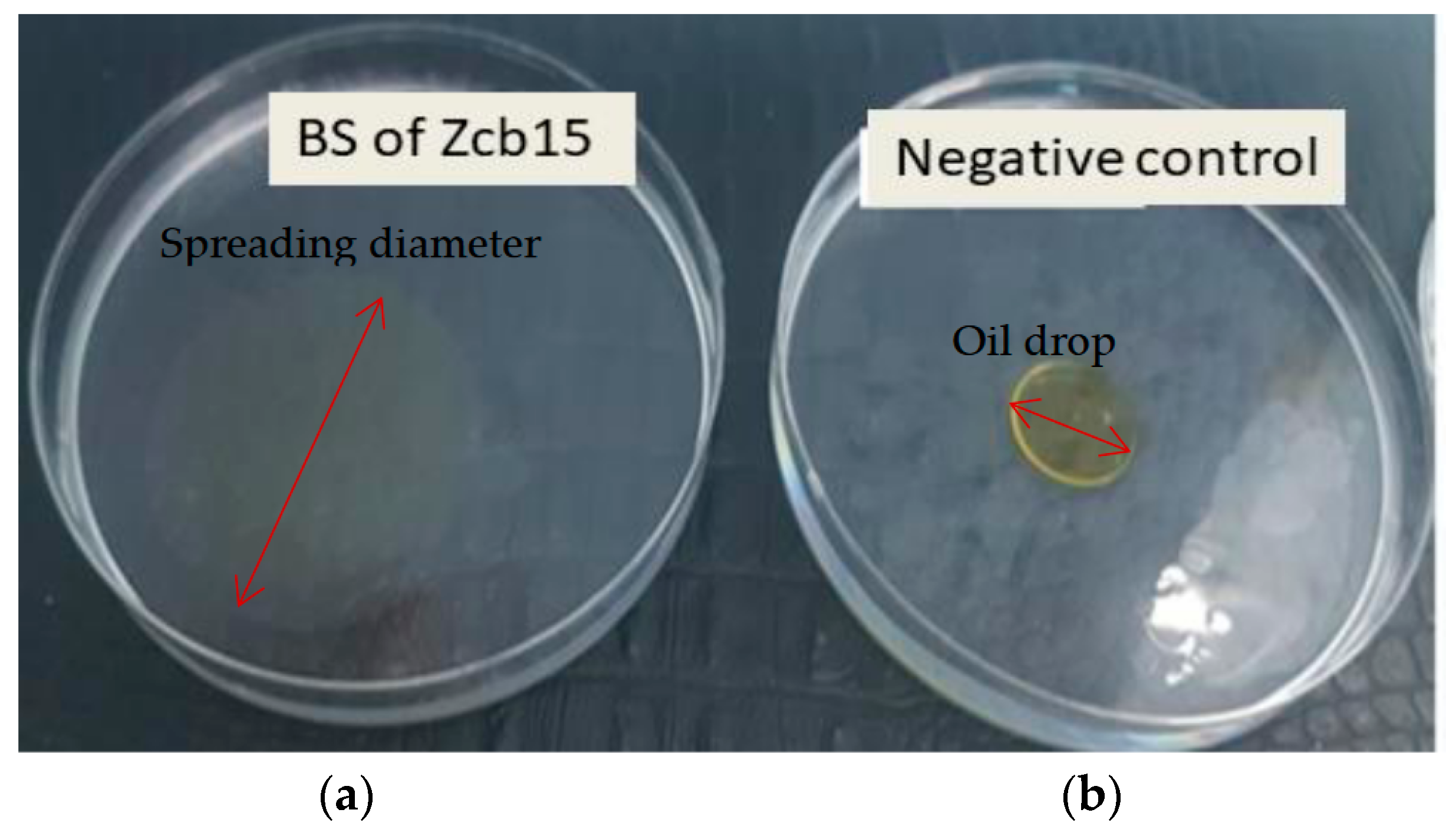 Molecules 28 01912 g003 Molecules 28 01912 g003