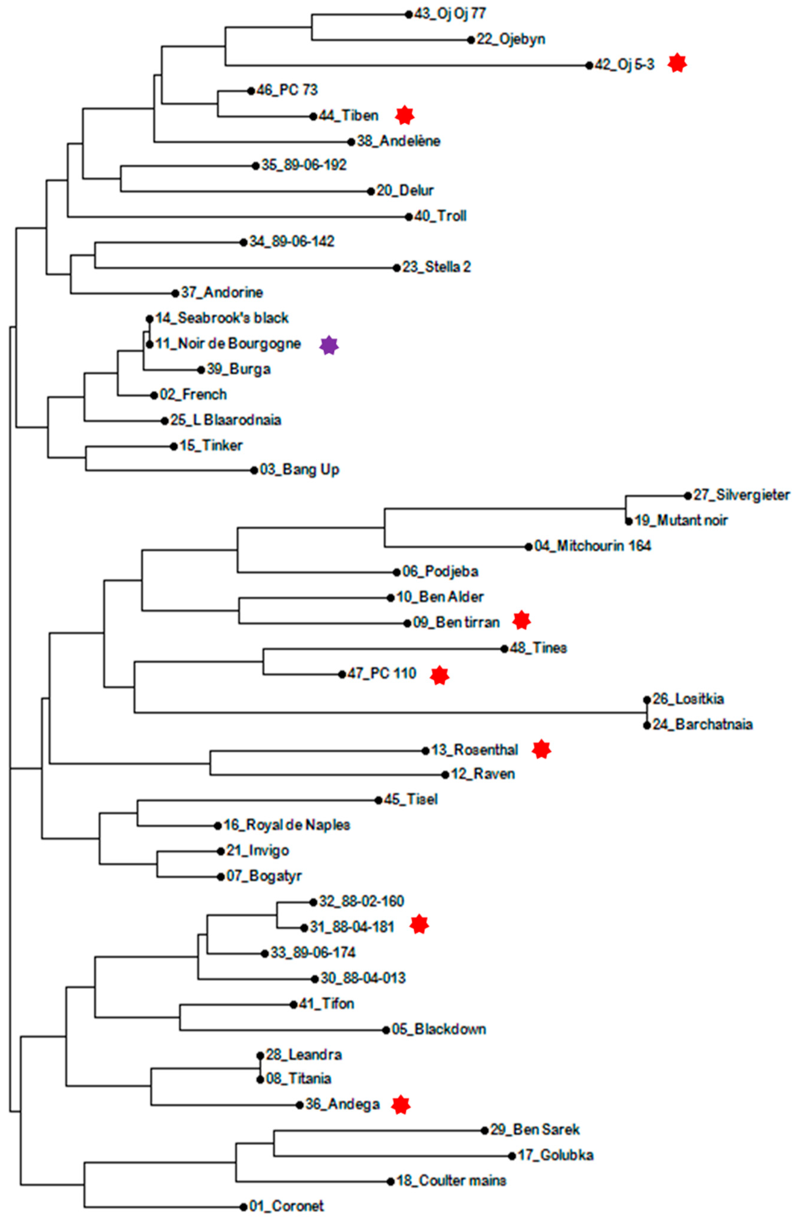 Molecules 28 01916 g007 Molecules 28 01916 g007