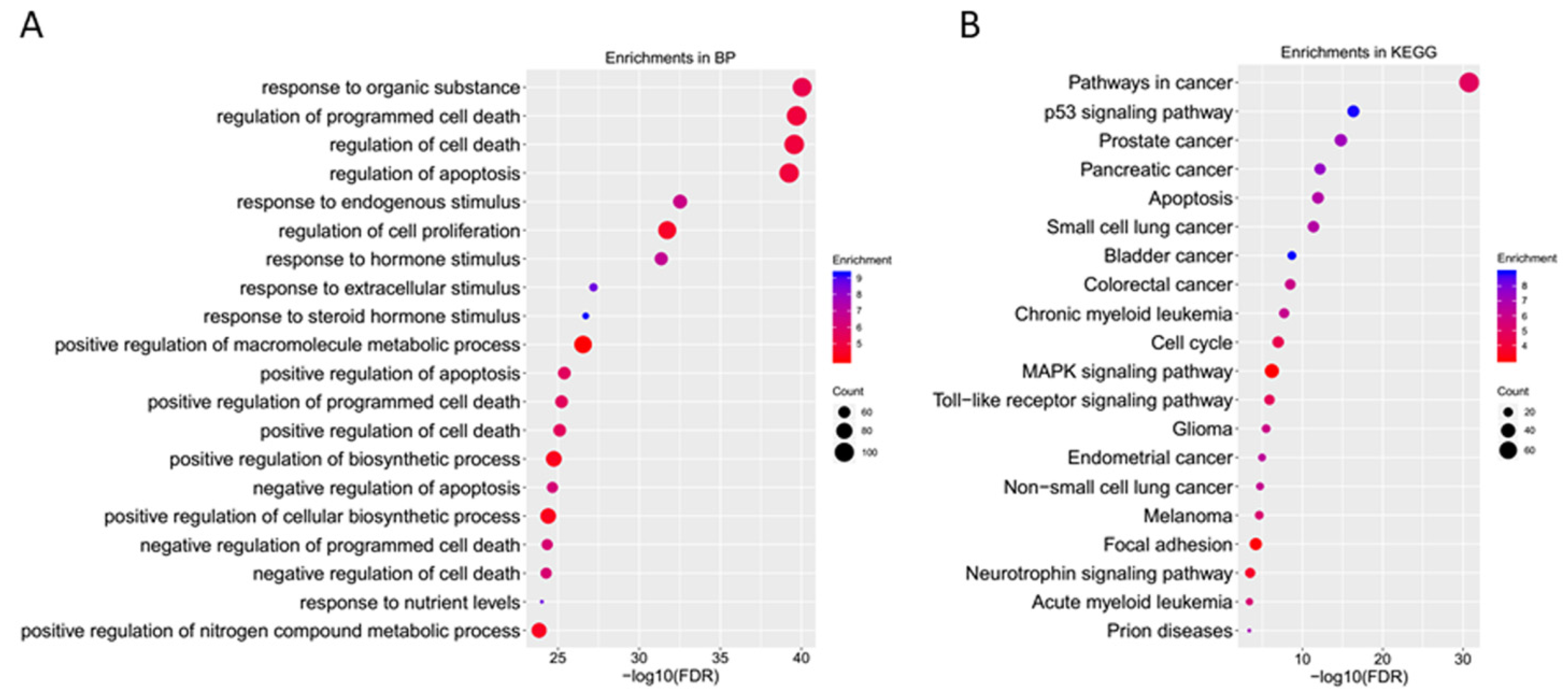 Molecules 28 01919 g004 Molecules 28 01919 g004