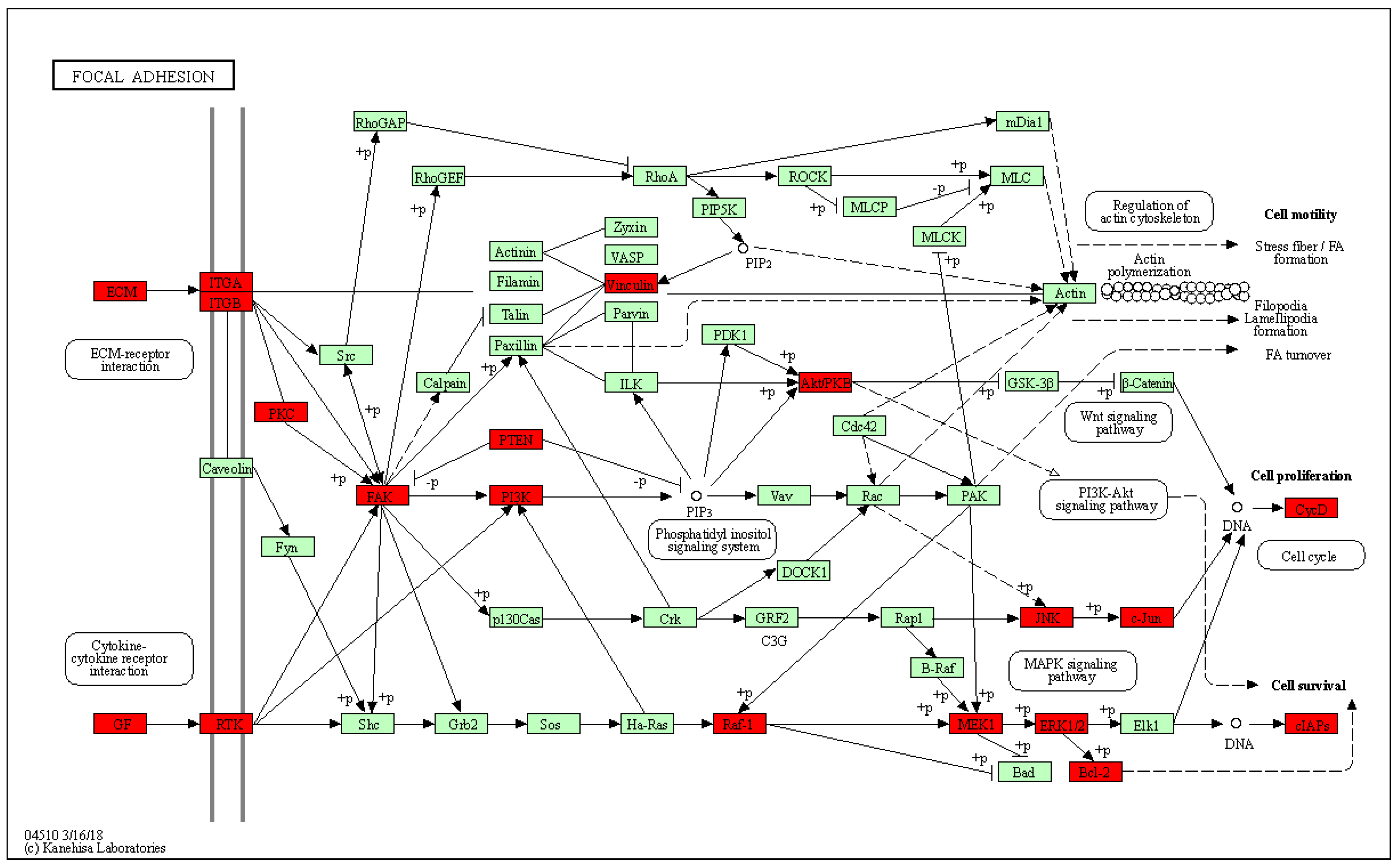Molecules 28 01919 g005 Molecules 28 01919 g005