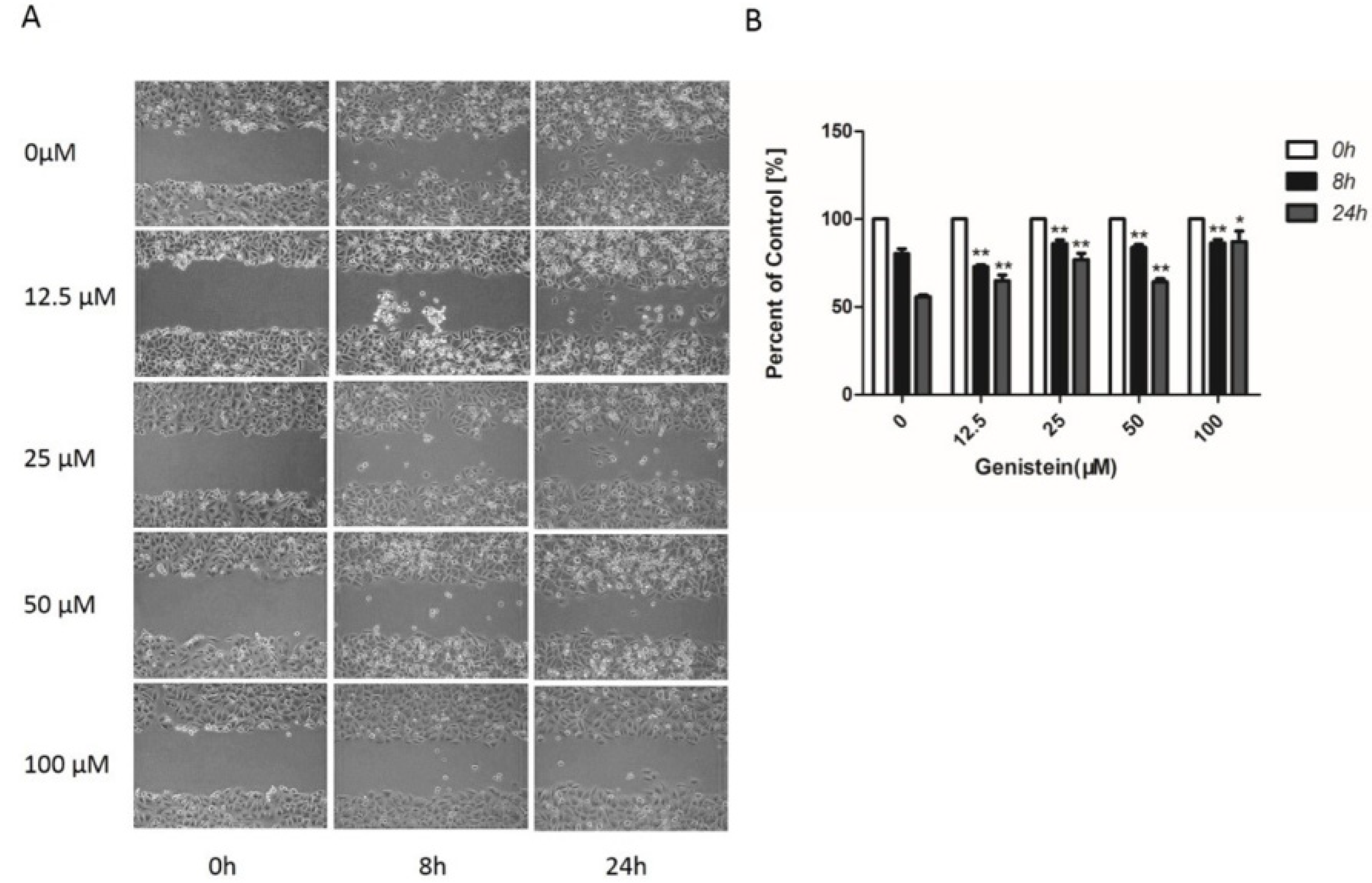 Molecules 28 01919 g008 Molecules 28 01919 g008