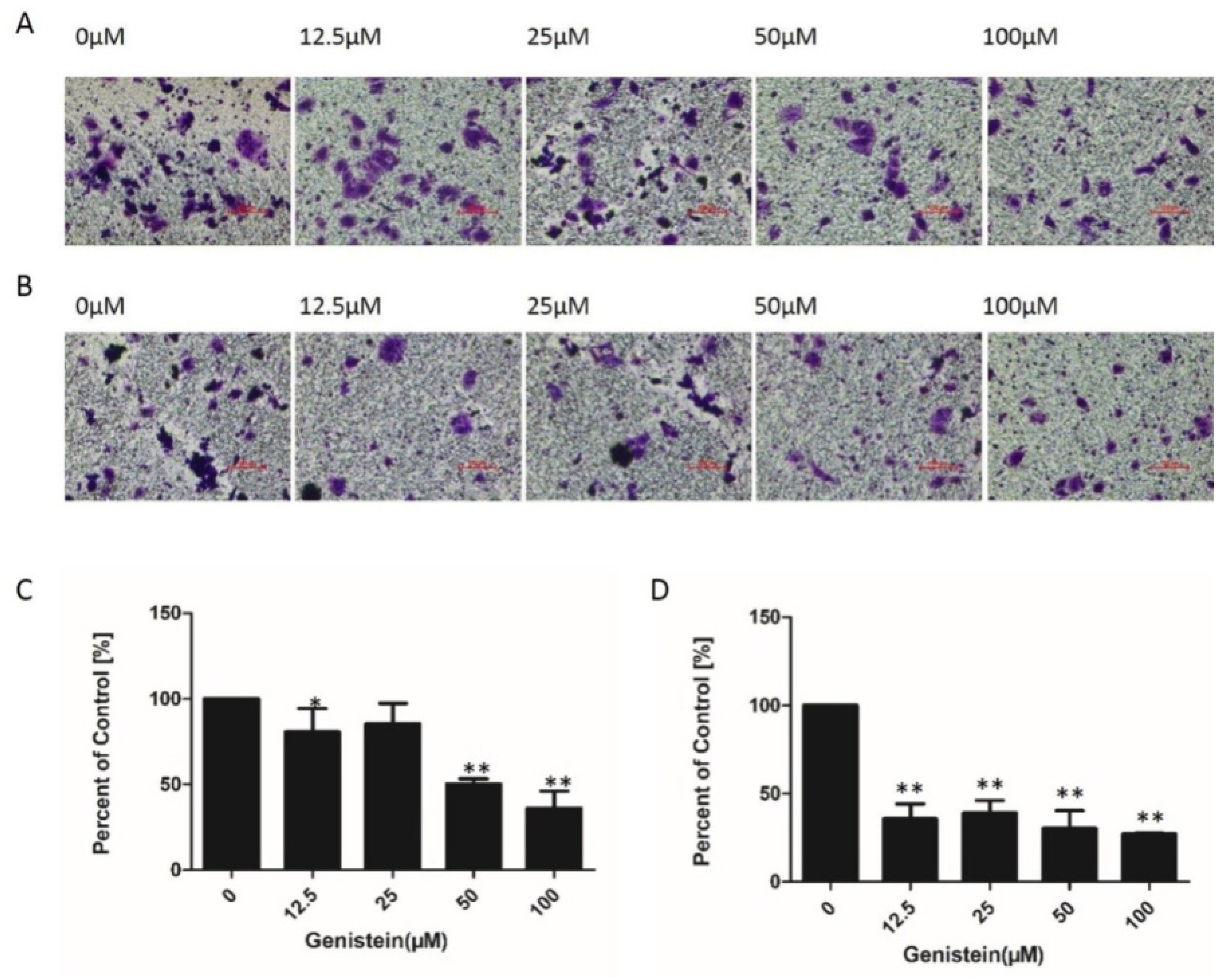 Molecules 28 01919 g009 Molecules 28 01919 g009