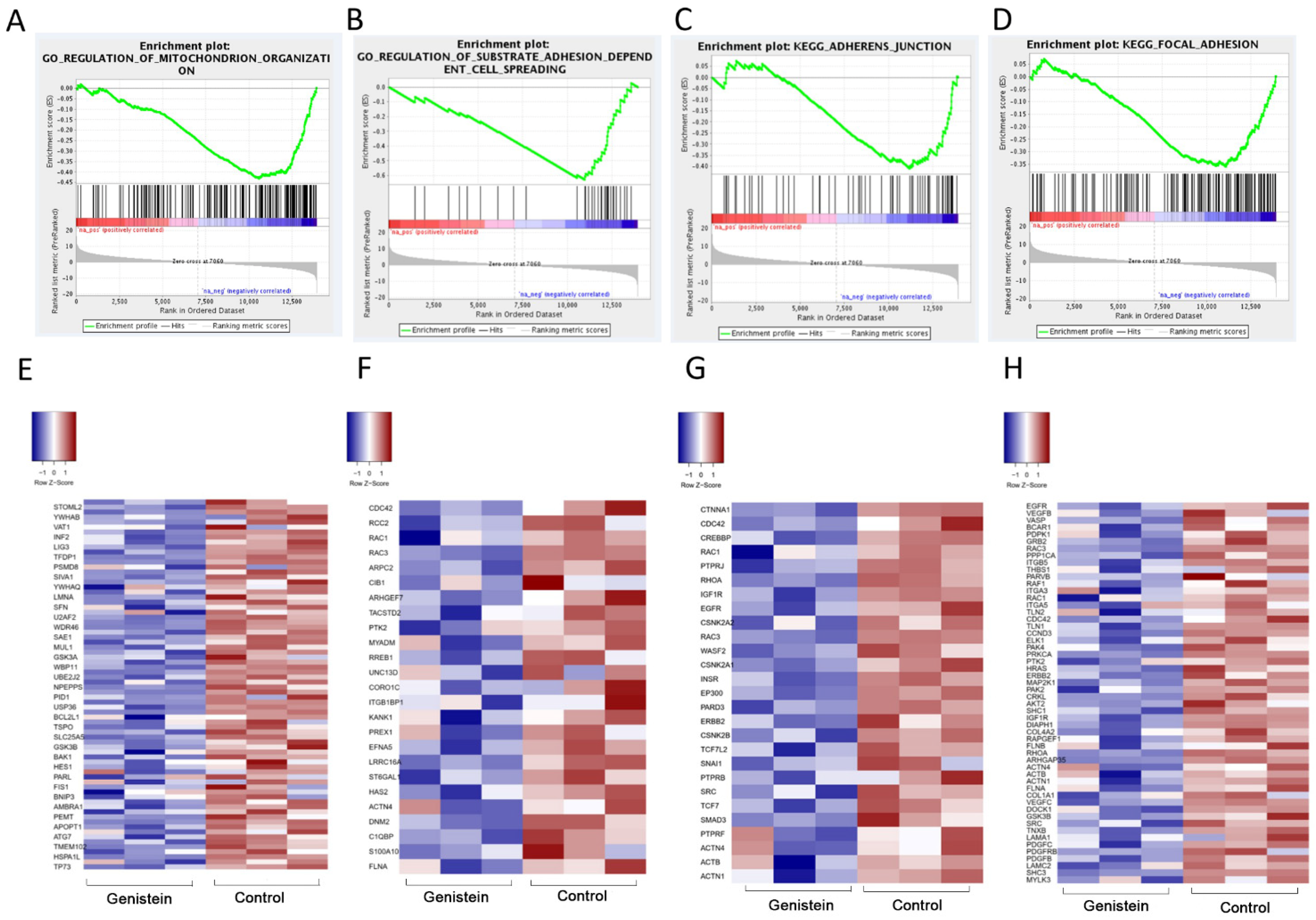 Molecules 28 01919 g011 Molecules 28 01919 g011