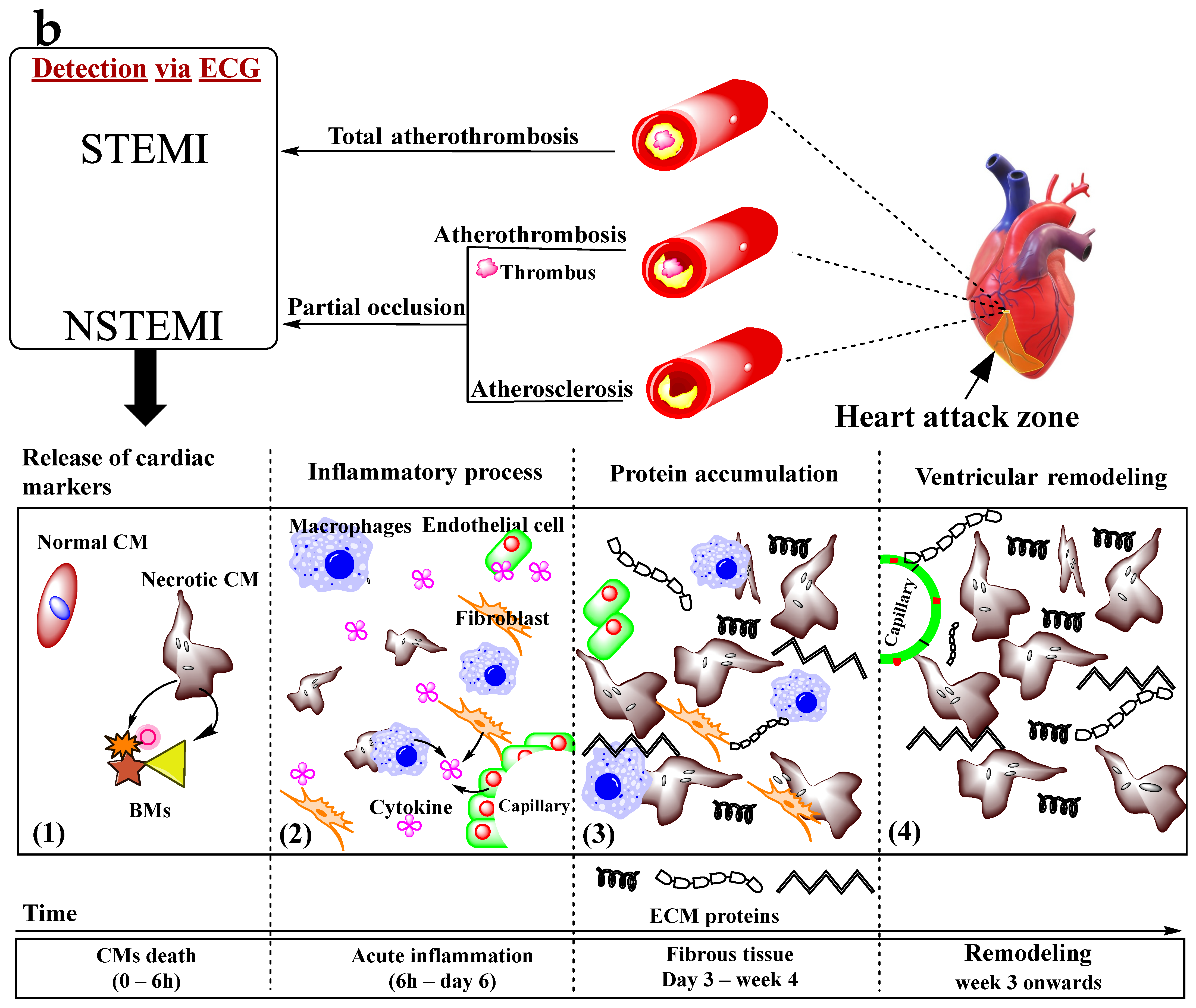 Molecules 28 01920 g002b