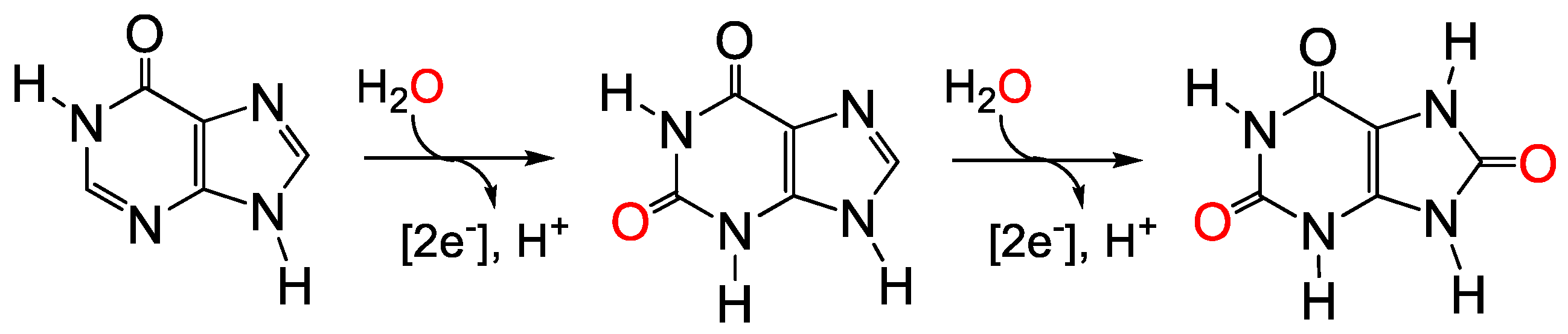 Molecules 28 01921 g001