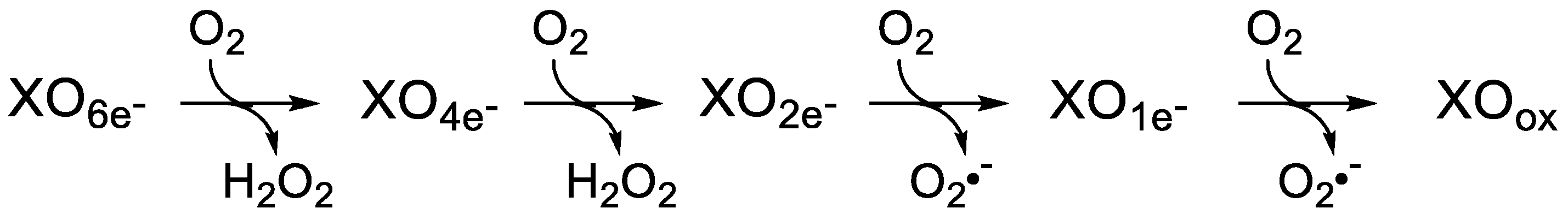 Molecules 28 01921 g004