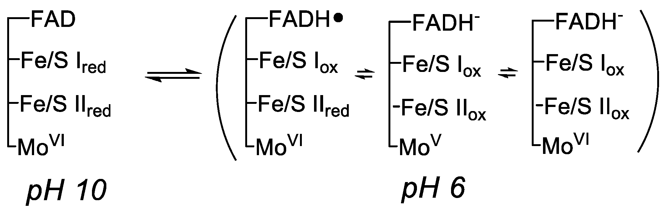 Molecules 28 01921 g005