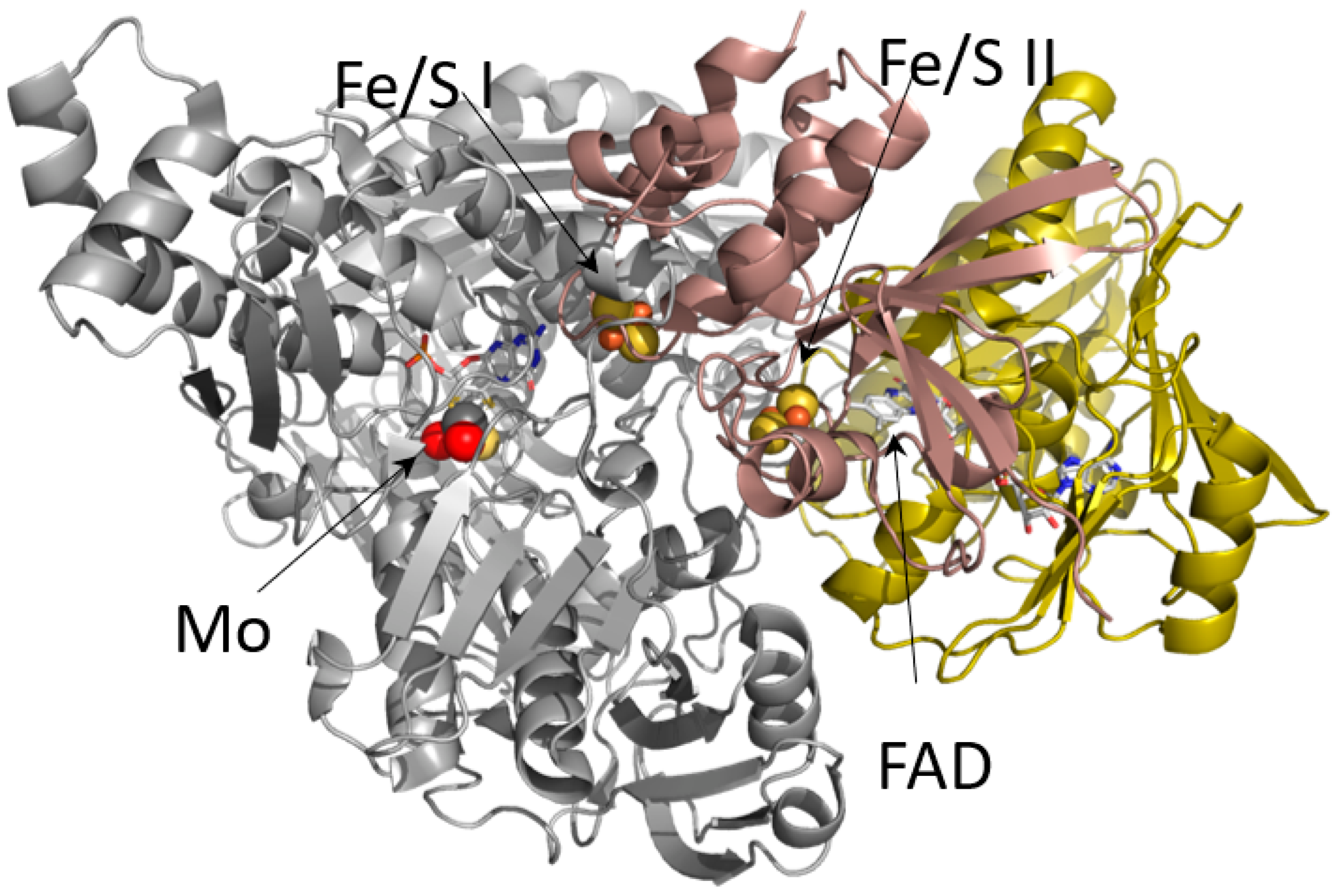 Molecules 28 01921 g009