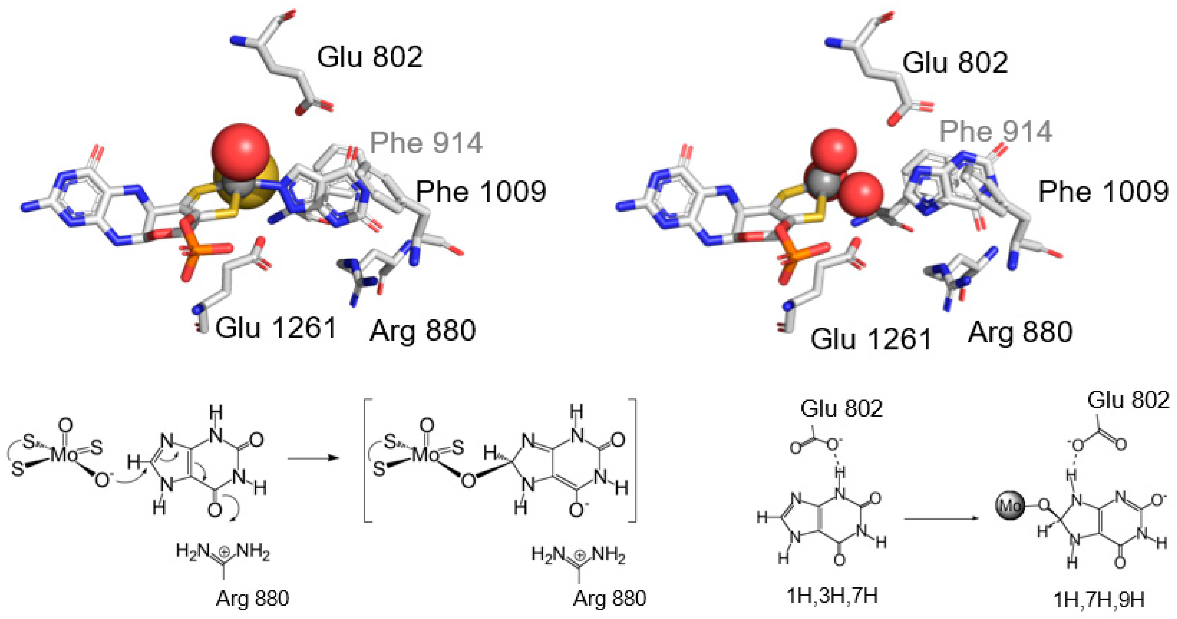 Molecules 28 01921 g010