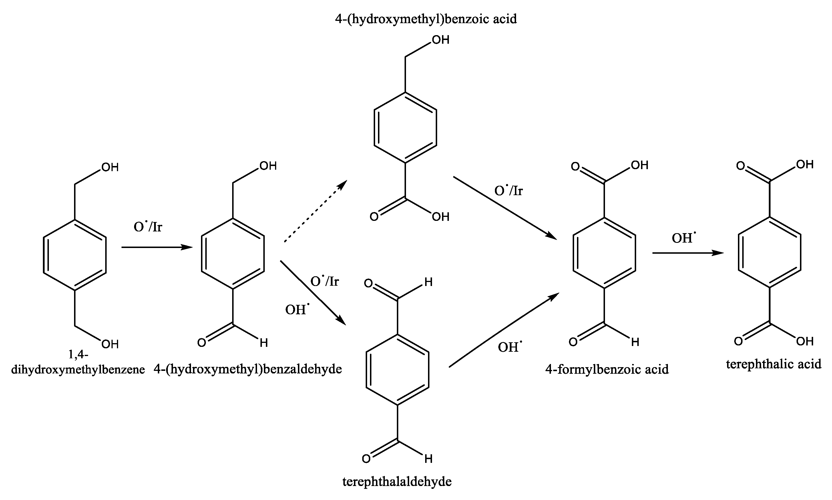 Molecules 28 01922 sch003 Molecules 28 01922 sch003