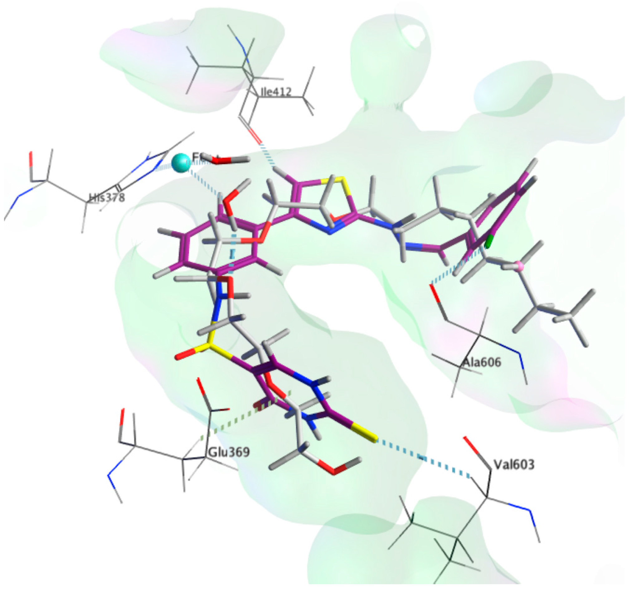 Molecules 28 01925 g006 Molecules 28 01925 g006