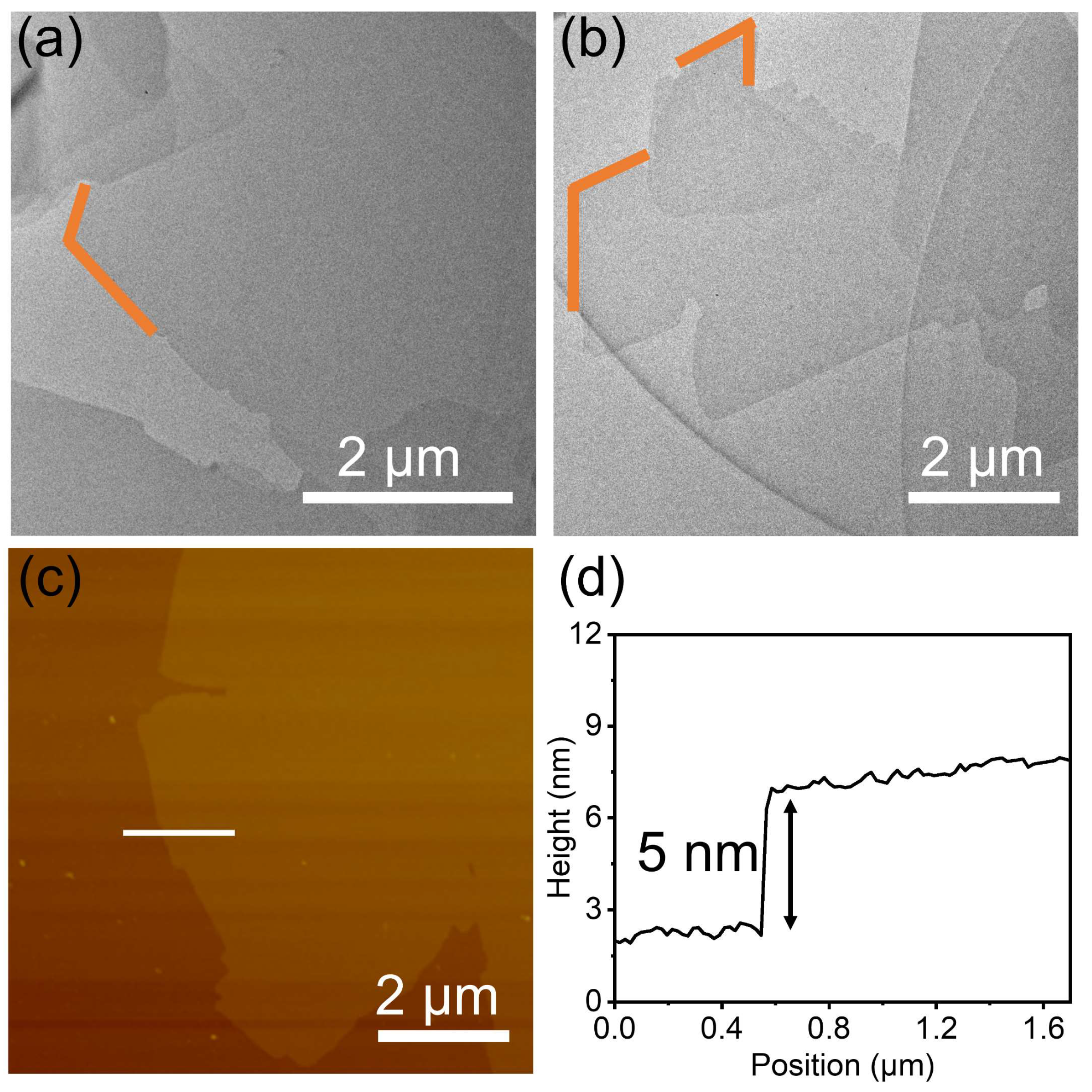 Molecules 28 01930 g002 Molecules 28 01930 g002